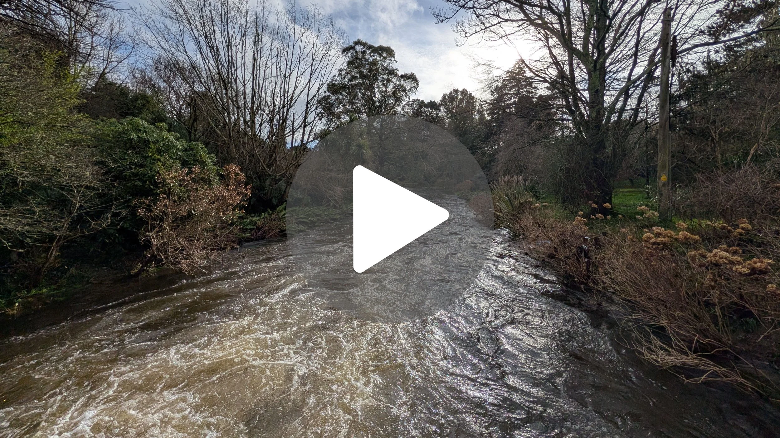 Rushing Water ASMR 🌿 Relax at Mount Usher Gardens