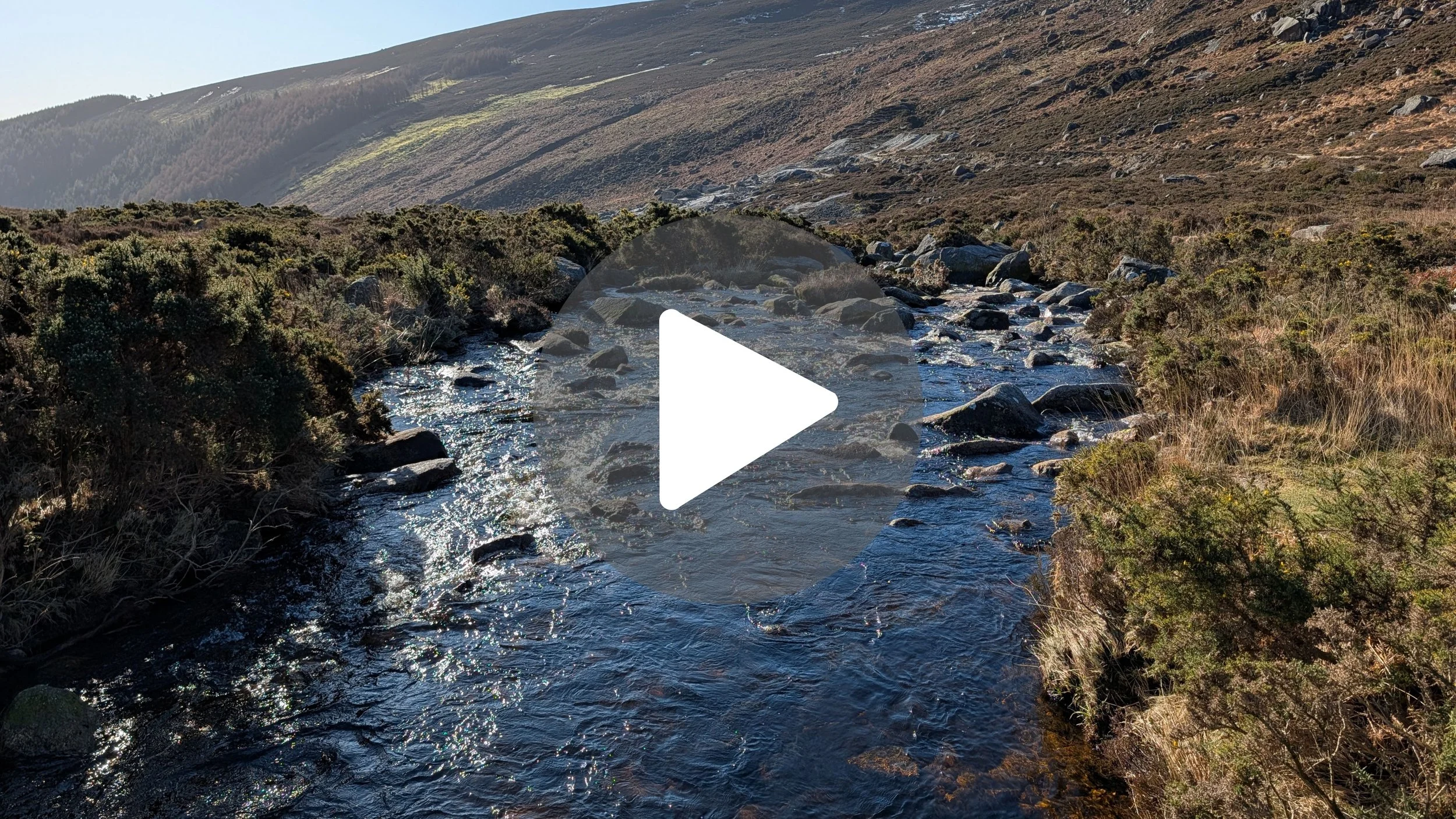 15 Seconds of Pure Calm: River ASMR in Wicklow 🌊