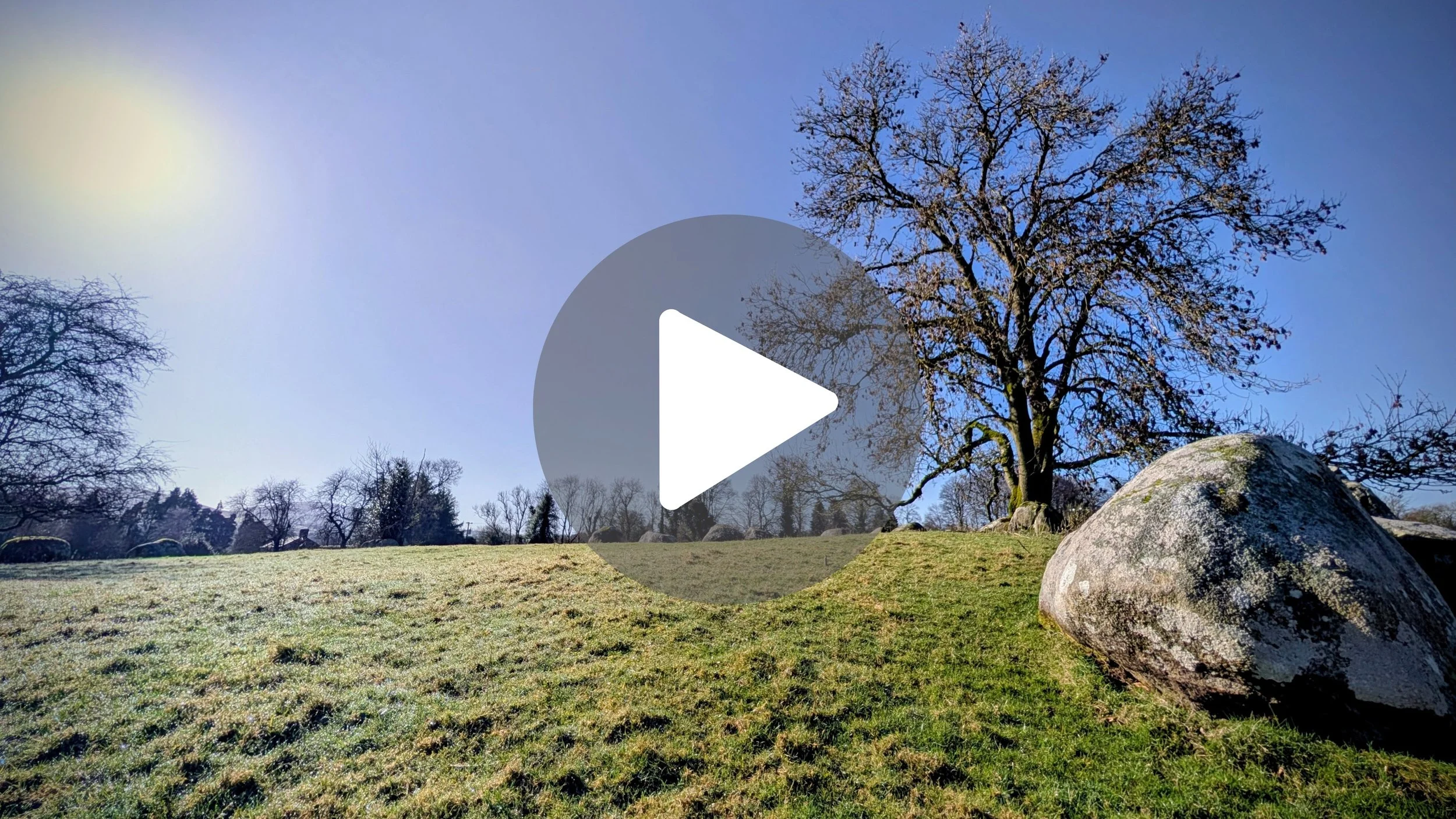 Nature ALWAYS Wins 🌿 (Ancient Stone vs. Tree)
