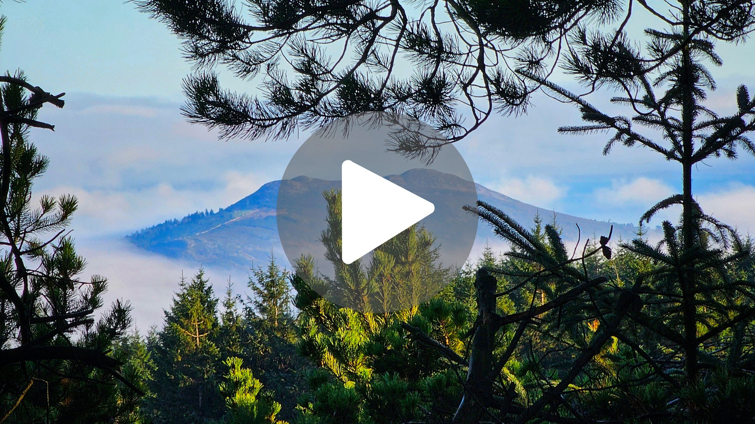 Finding Evidence of Ireland's Shape-Shifting Phantom Queen 🦅🏔️