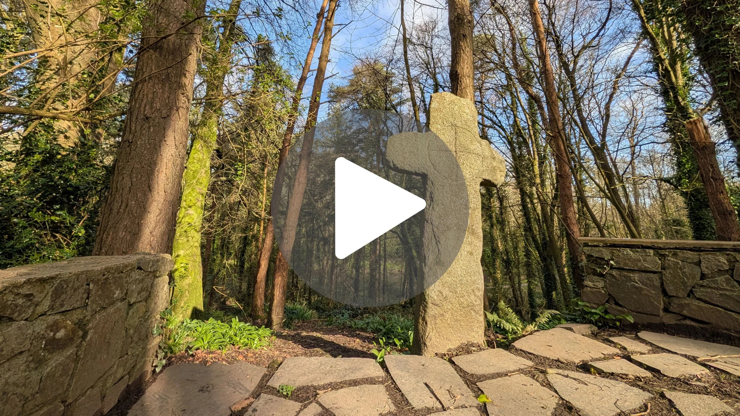 I found a 1000-Year-Old Secret in these Irish Woods 🇮🇪