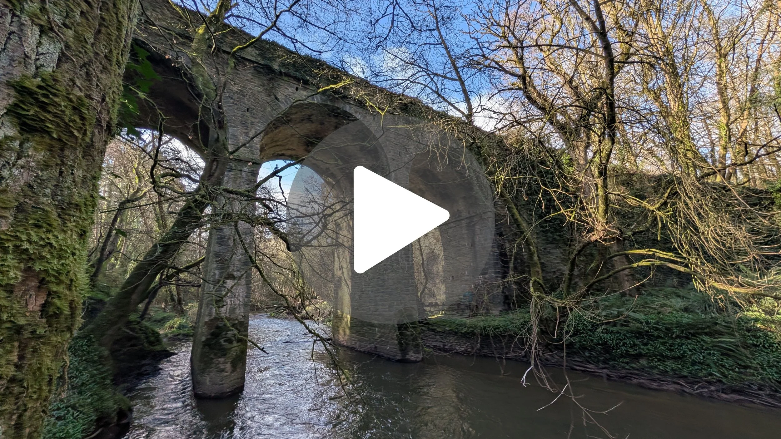 Once the Tallest Viaduct in Ireland 🇮🇪 (Courtown Woods)