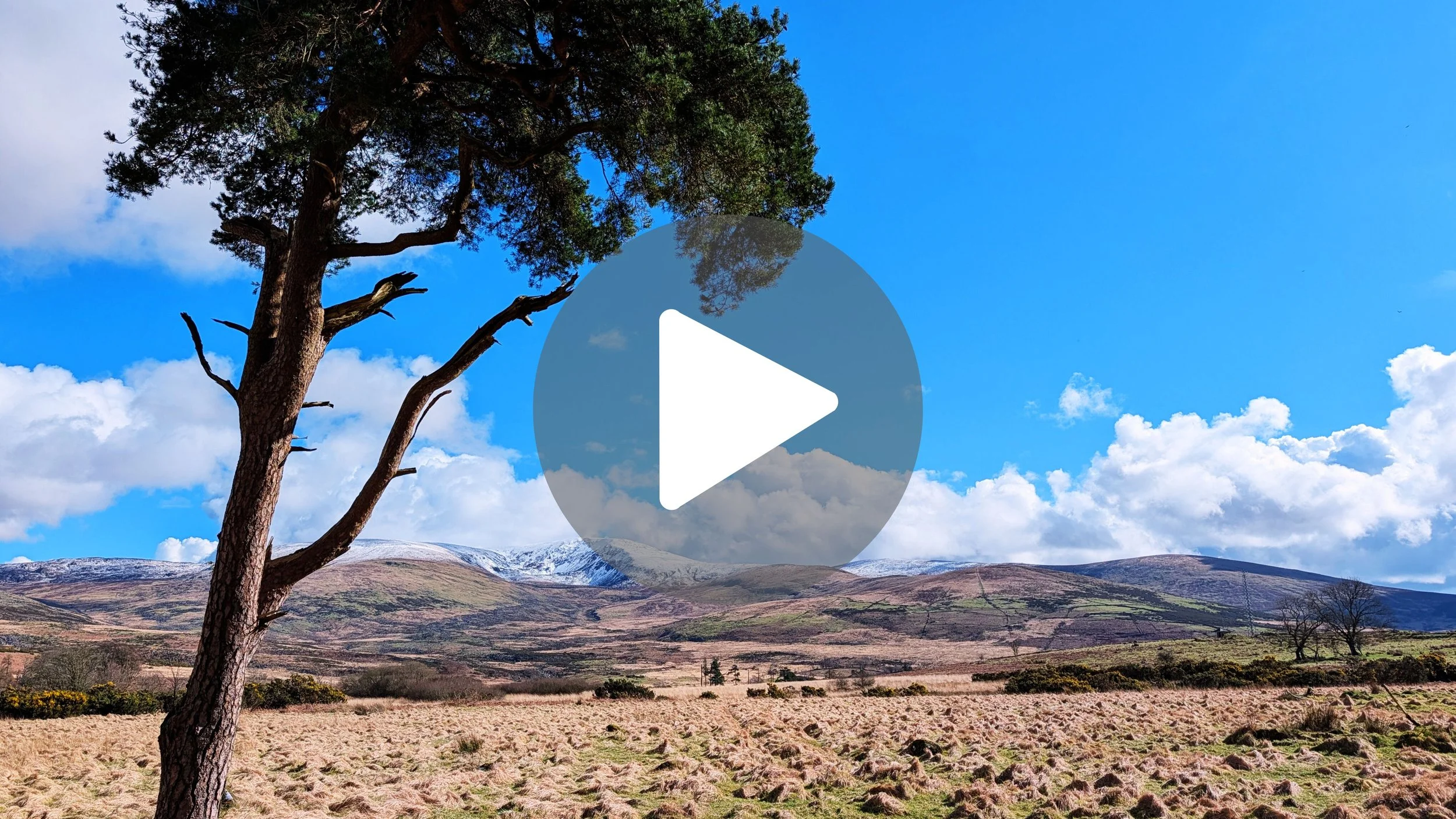 15 Seconds Pure Peace 🏔️ Sunny Wicklow Mountains ASMR