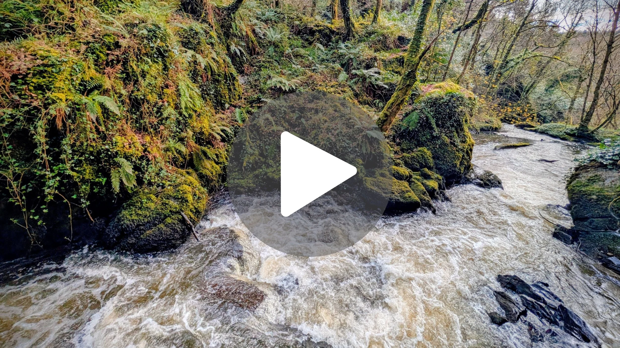 Edenvale Waterfall by the Numbers 📊💧 (Co. Wexford)