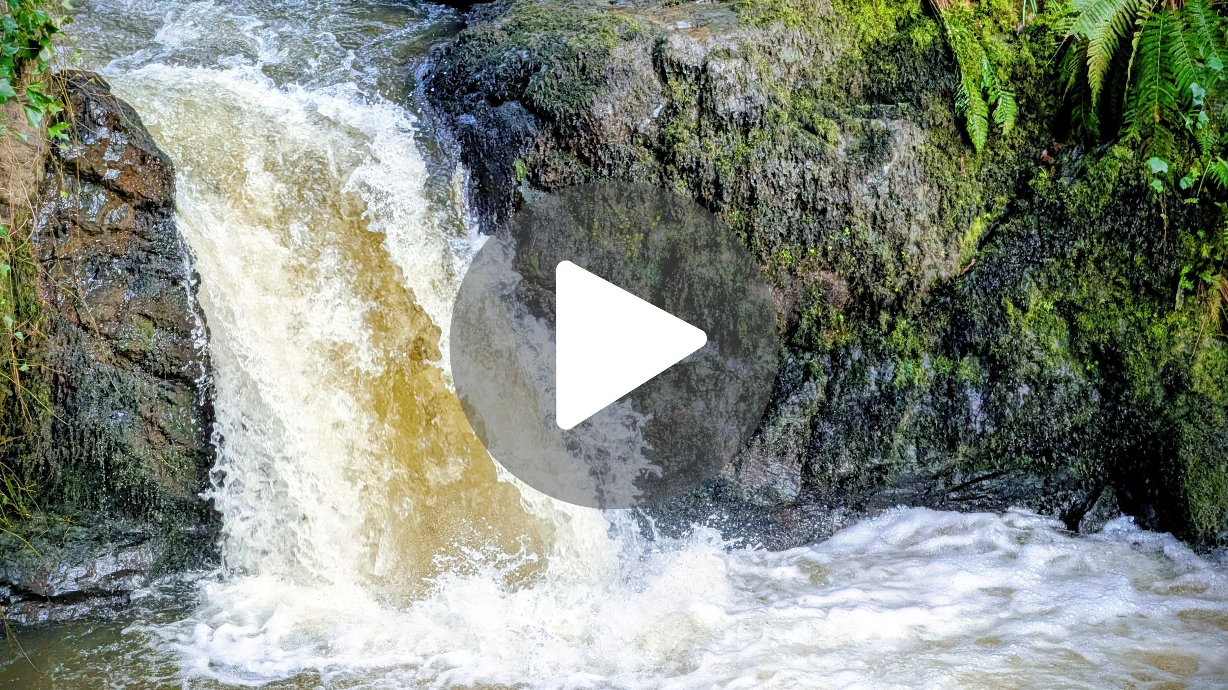 15 Seconds of Pure Calm 🌿 (Edenvale Waterfall ASMR)