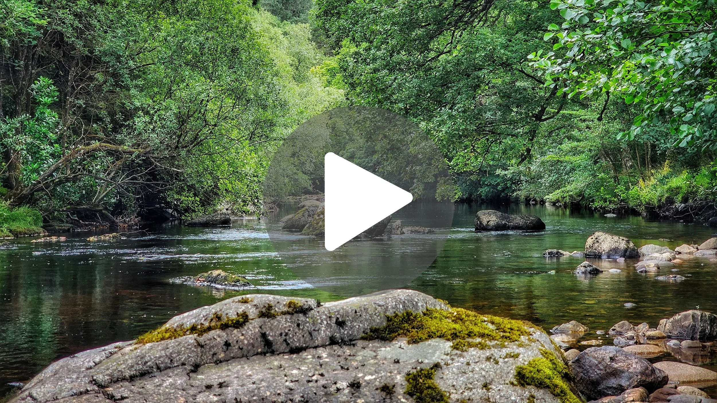 Spelling PATRICK with Wicklow's Greenest Gems ☘️