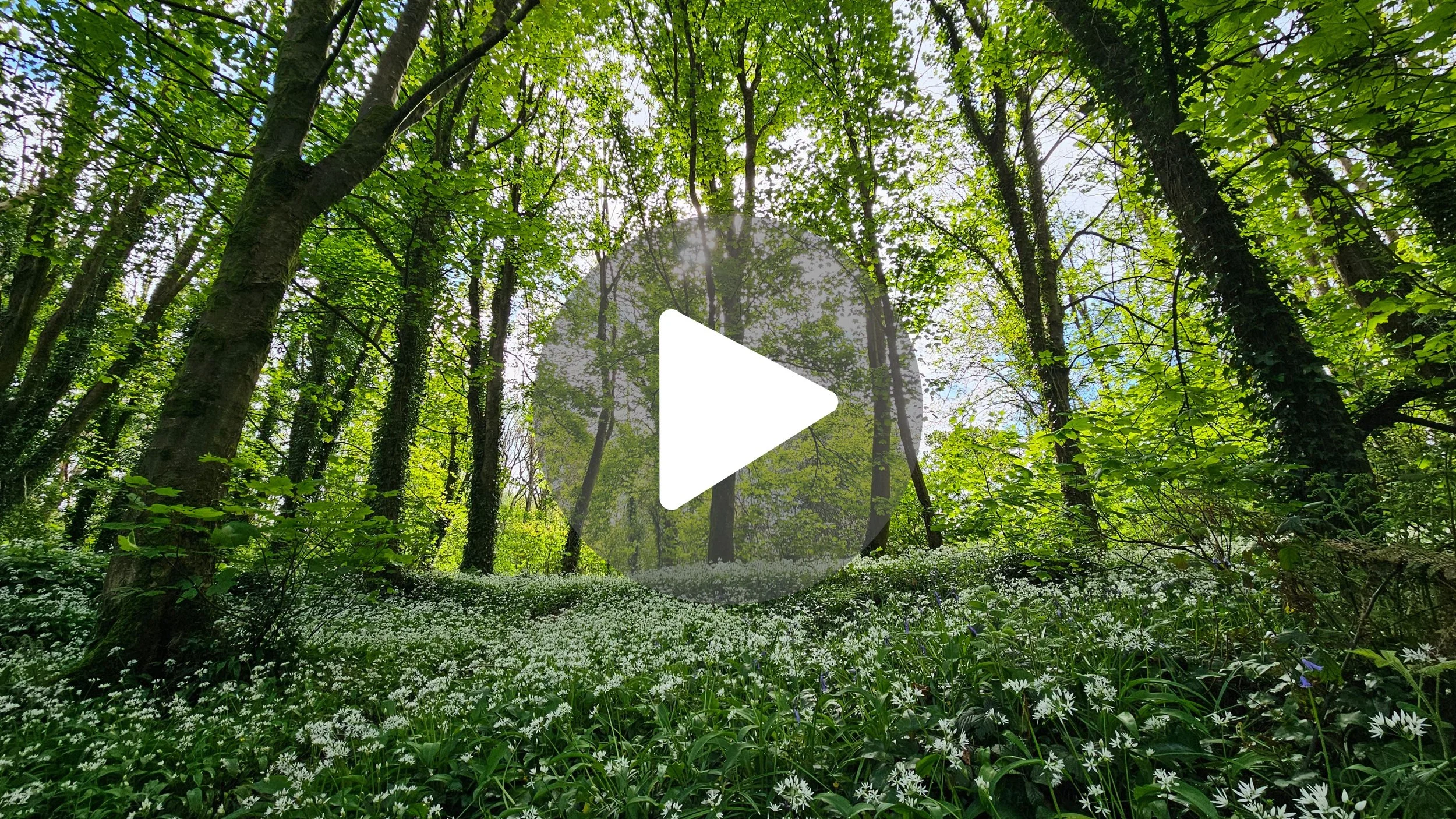 Can I Spell PATRICK Using Only Green Gems in Wexford? ☘️
