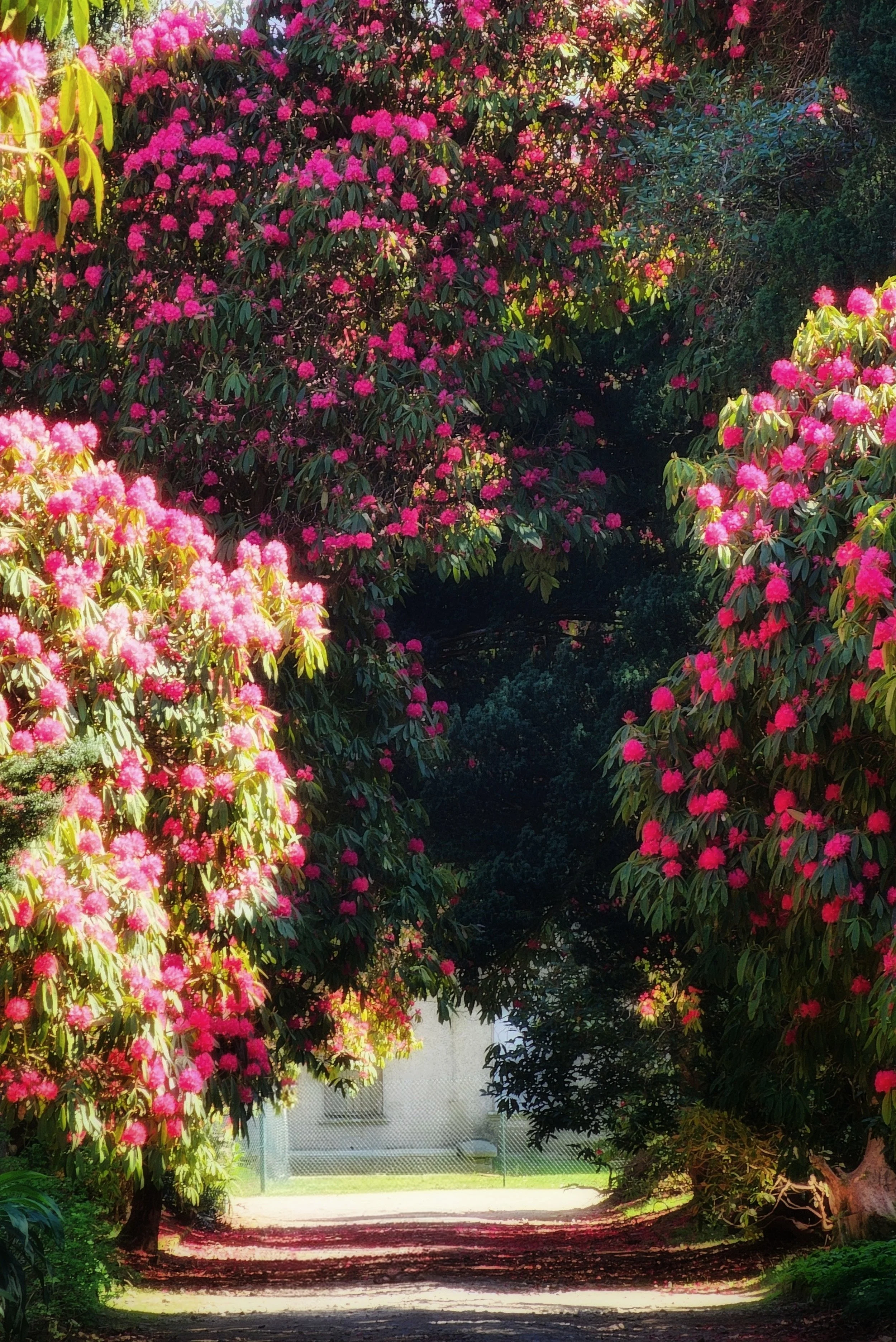 20250408_124423~2 (1).jpg