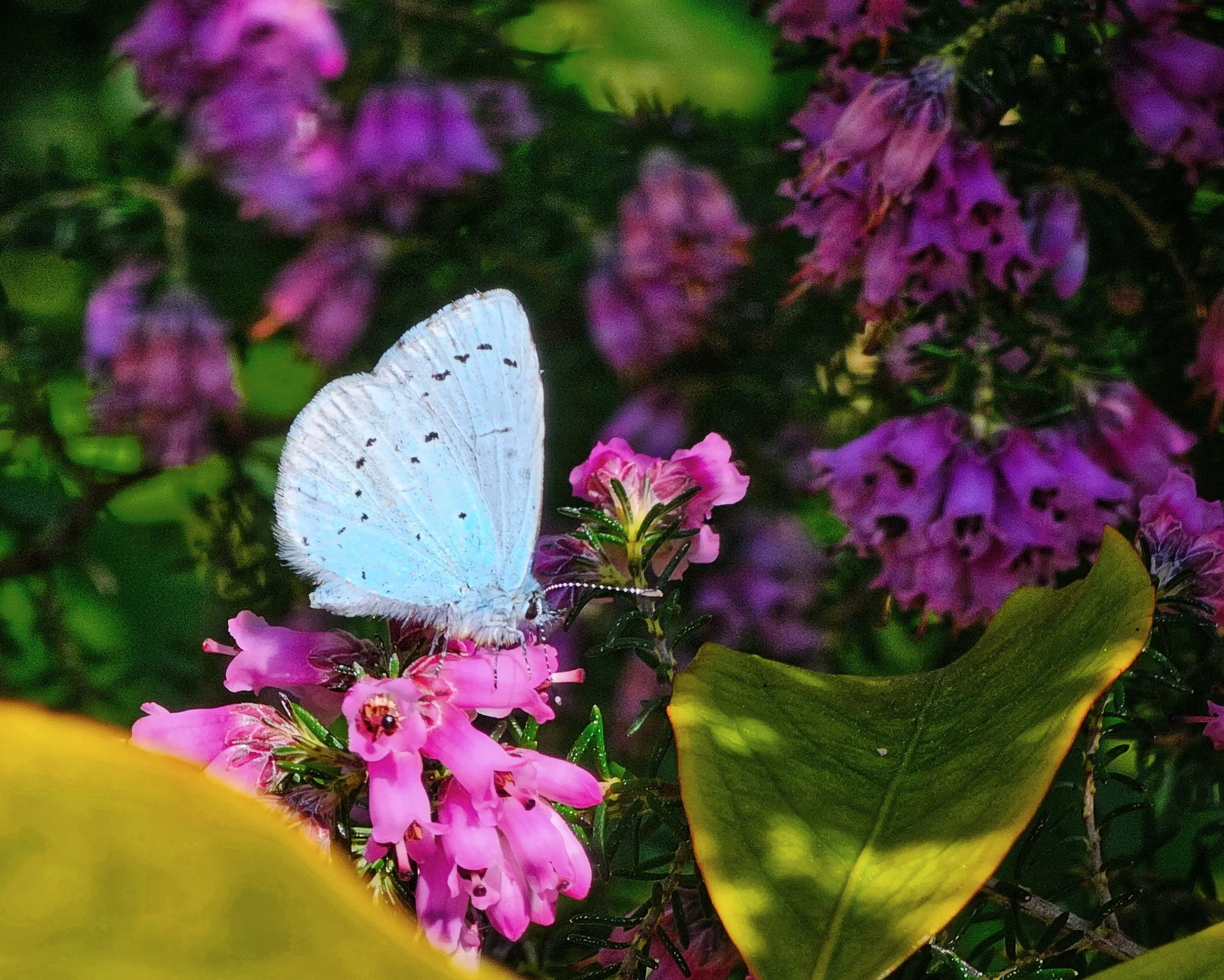 20250424_114143 (1).jpg