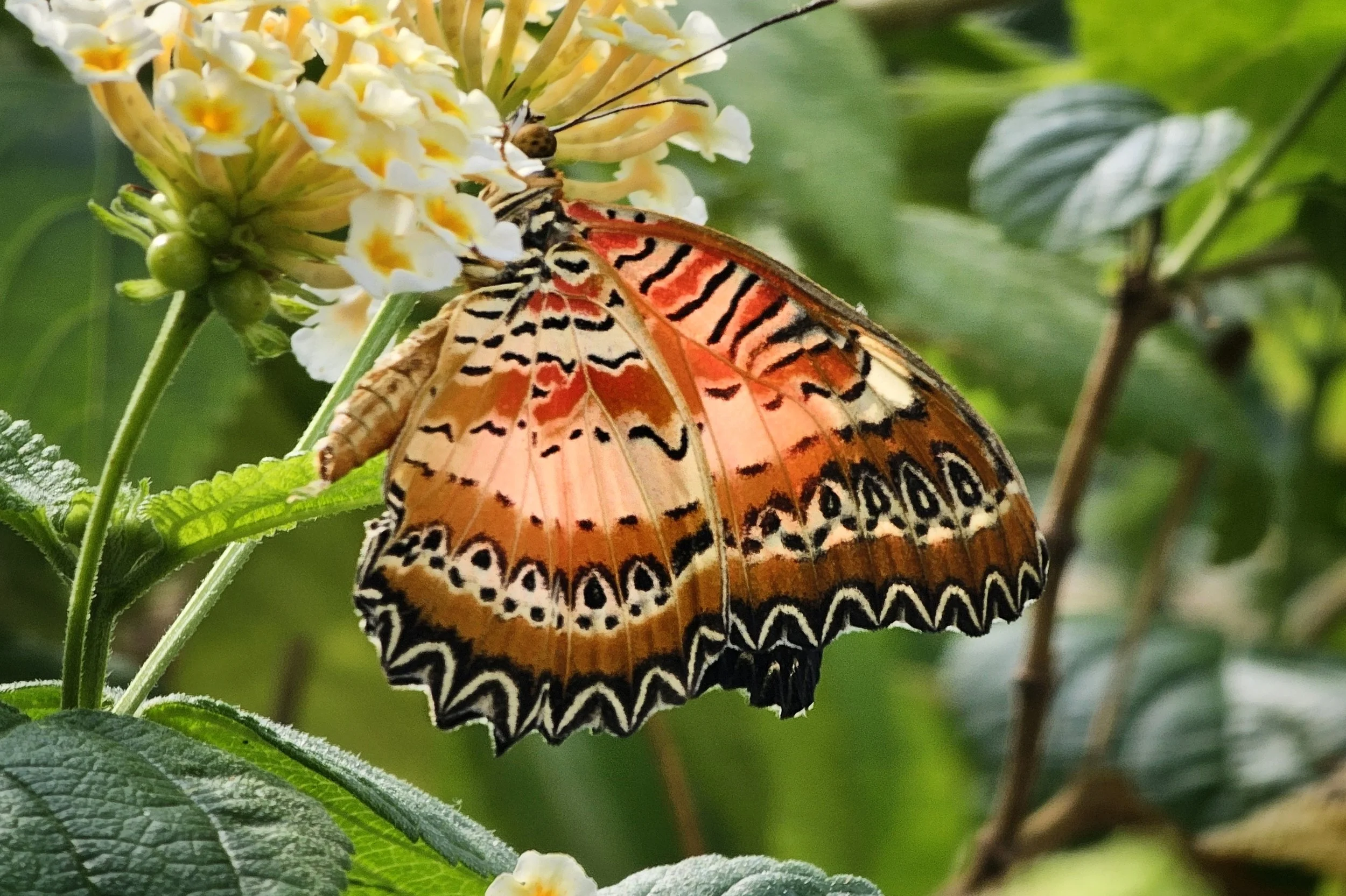 20250320_113438 (1).jpg