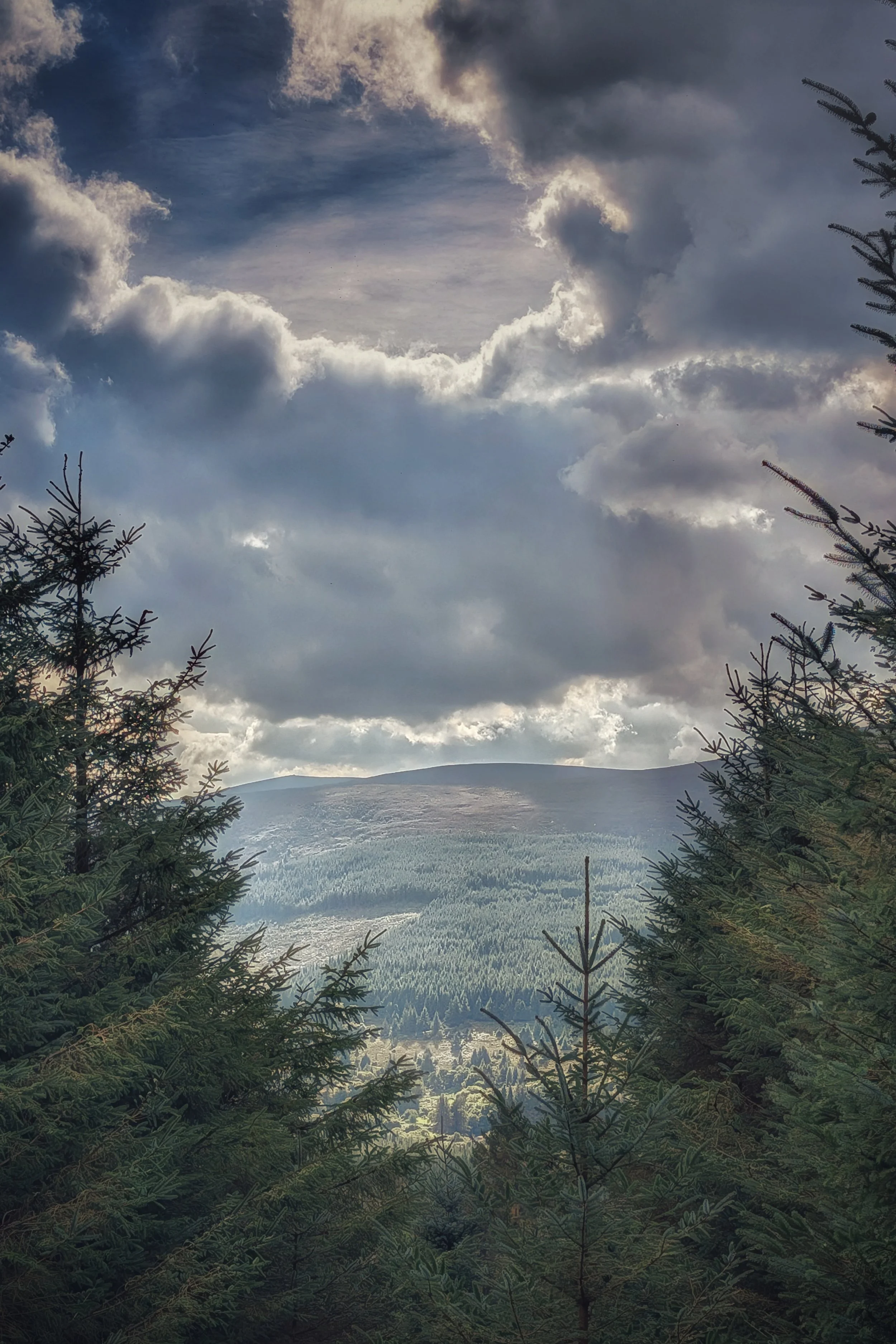 PXL_20250924_115934520 (1).jpg