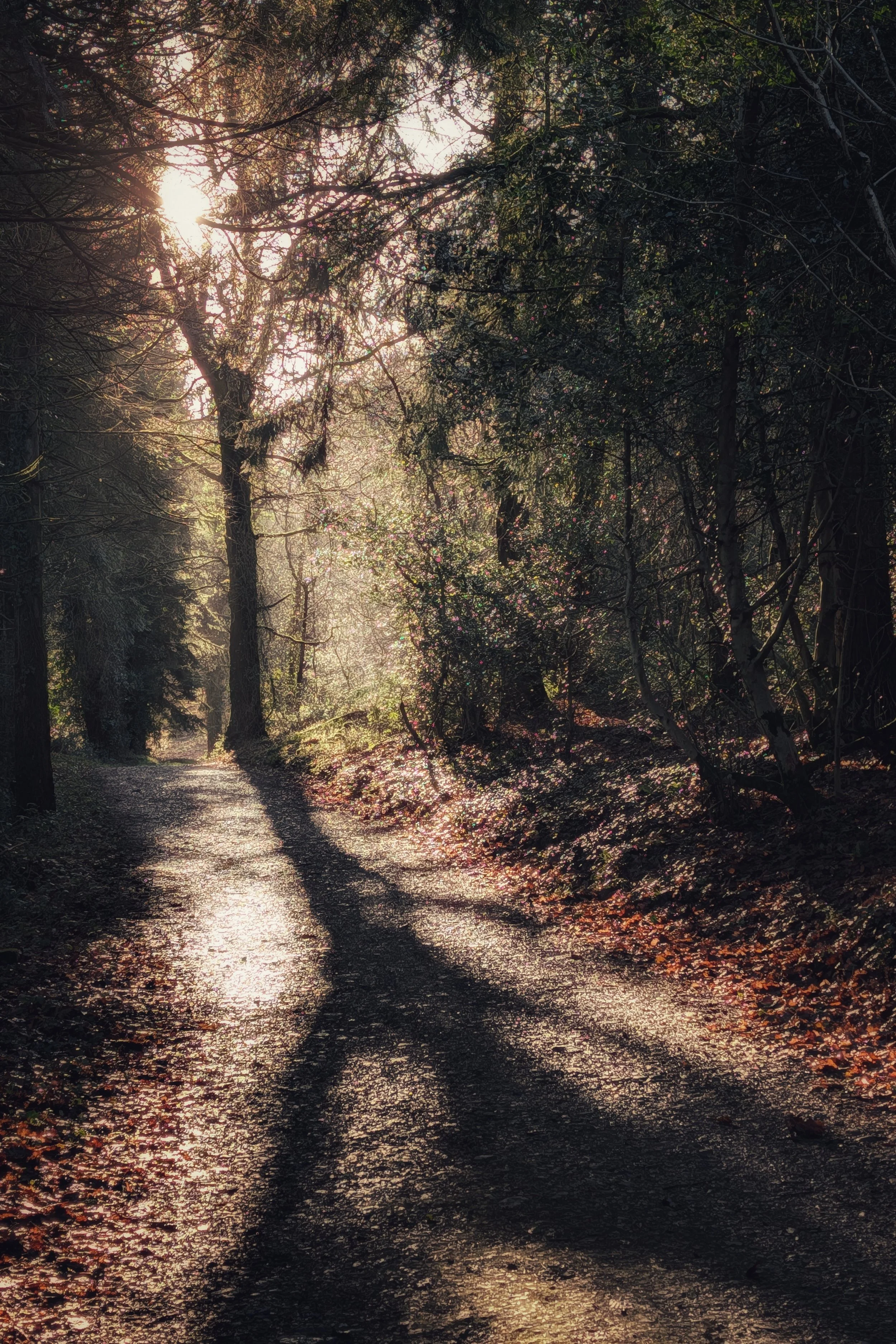Long Shadows, Longer Path