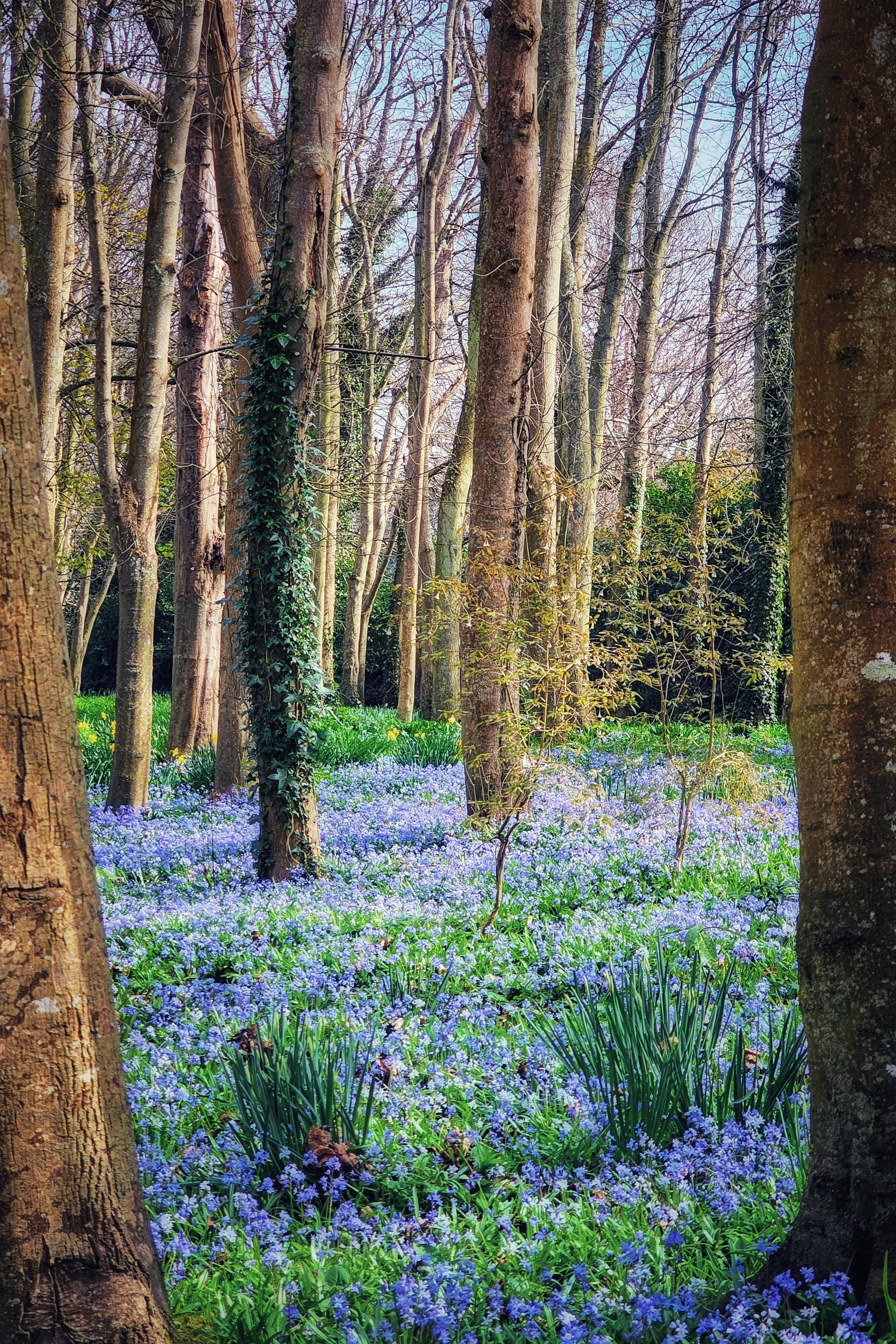 20250320_121749~2 (1).jpg