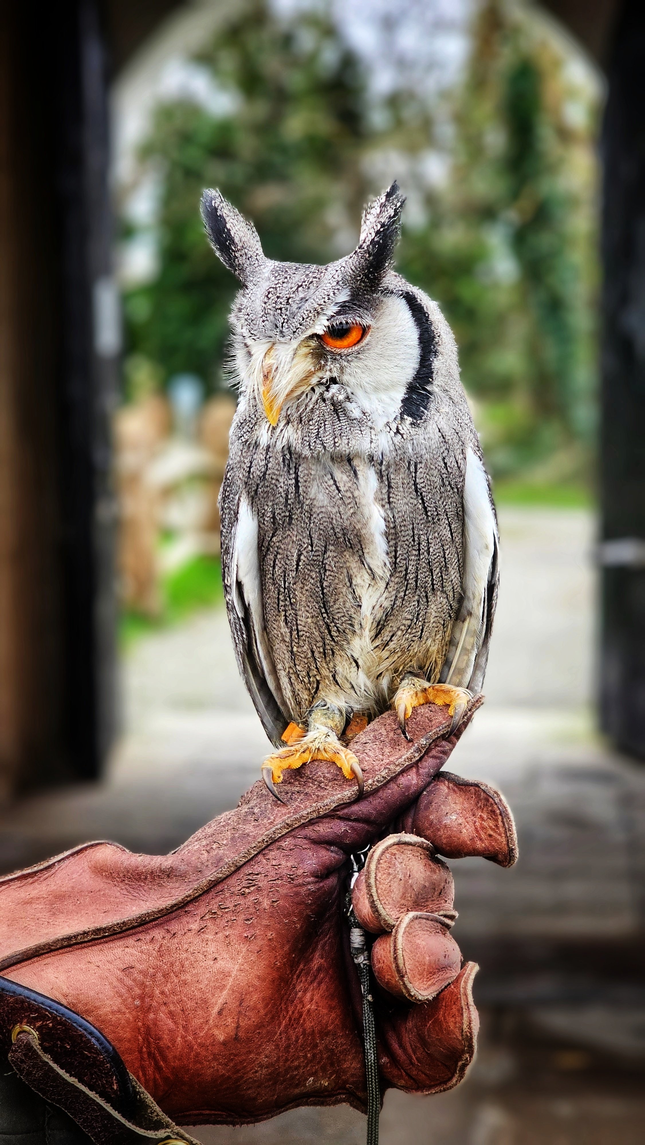 20250118_143720~3 (1).jpg