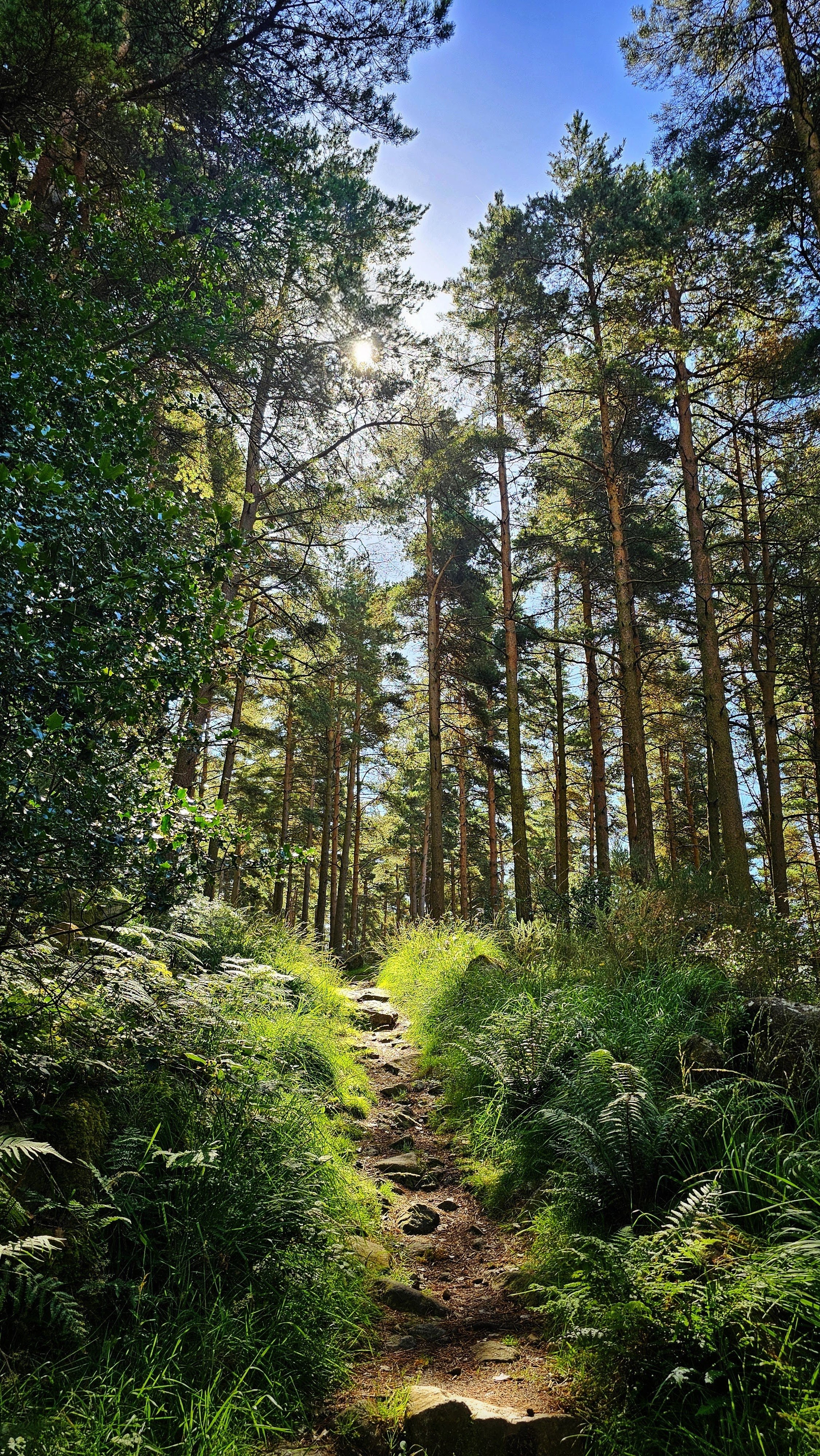 1 Year Ago: Just Follow the Path