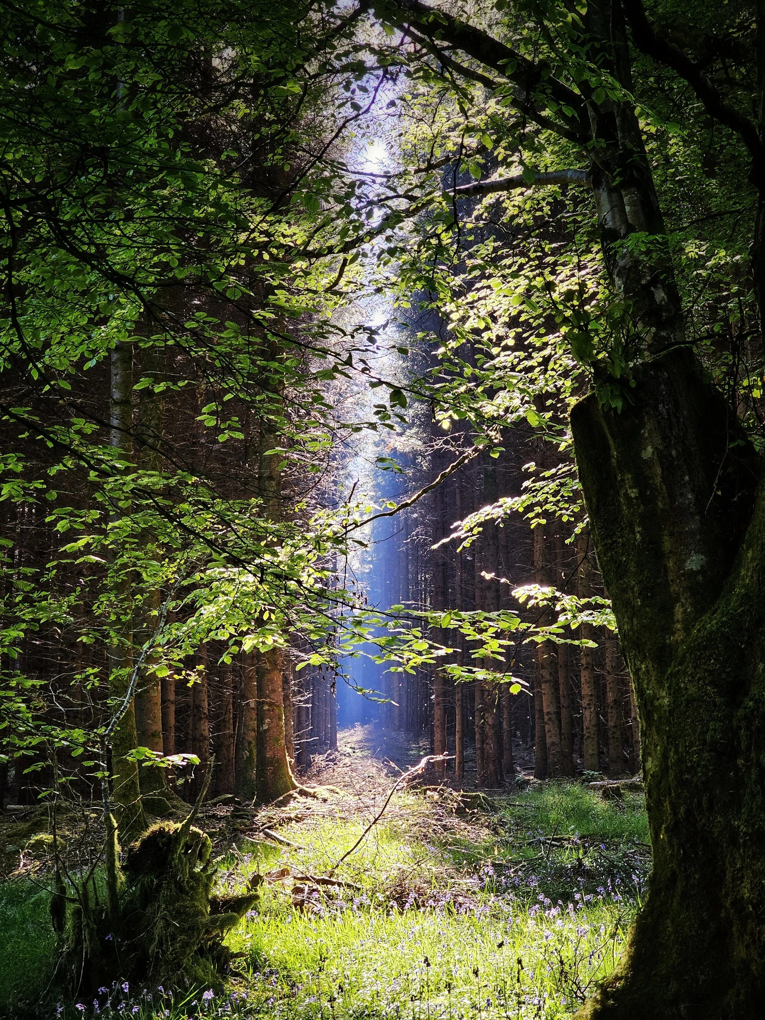 20250509_162032 (1).jpg