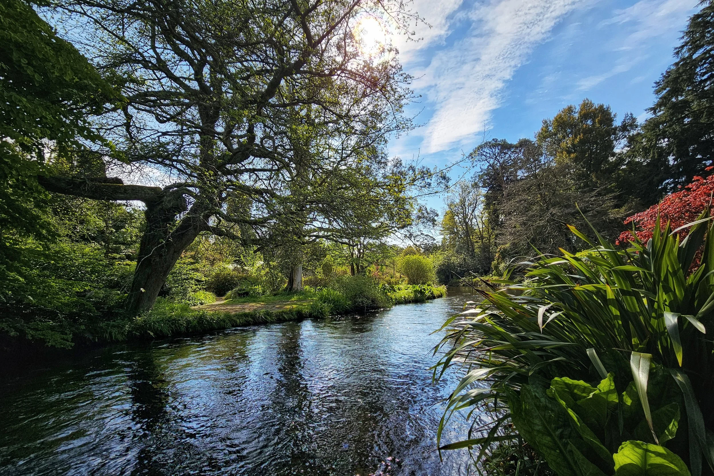 20250424_110222 (1).jpg