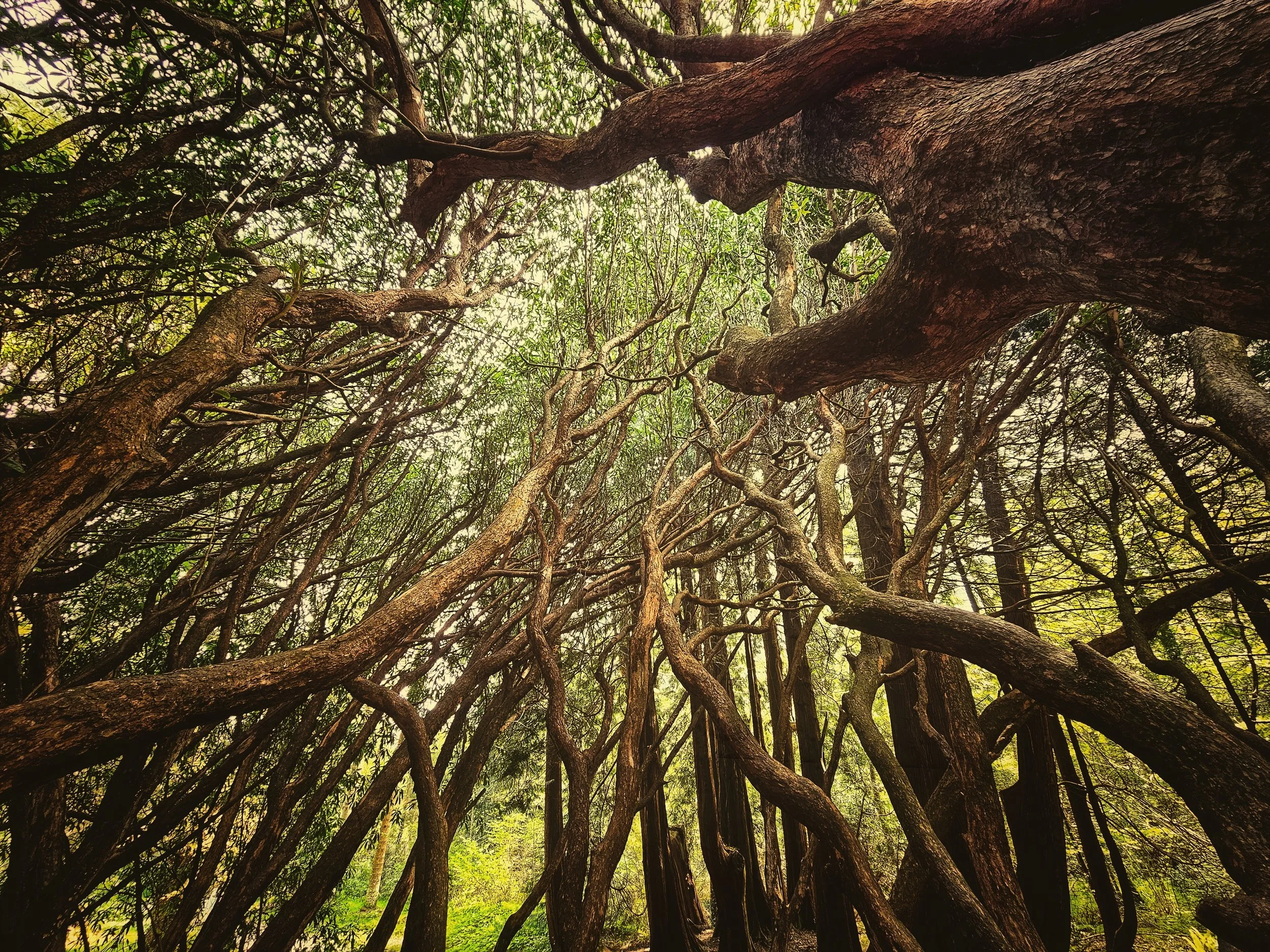 20250429_121214 (1).jpg