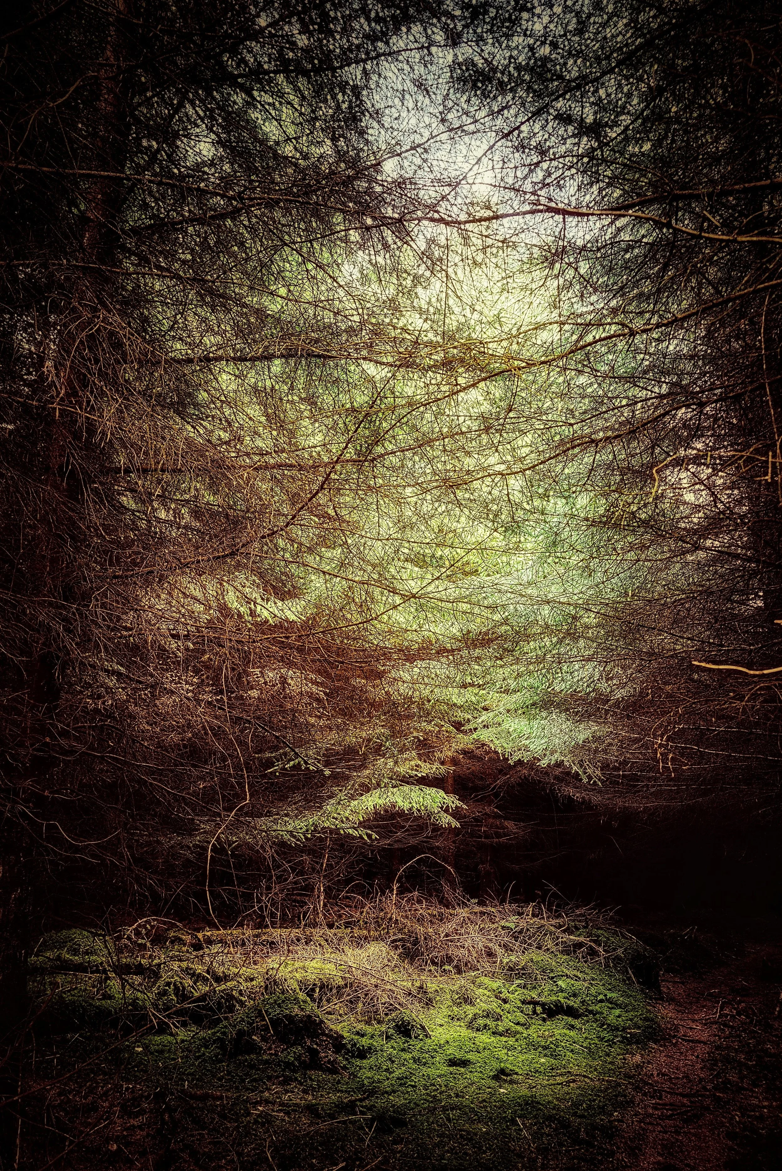 20250625_191214 (1)~2.jpg