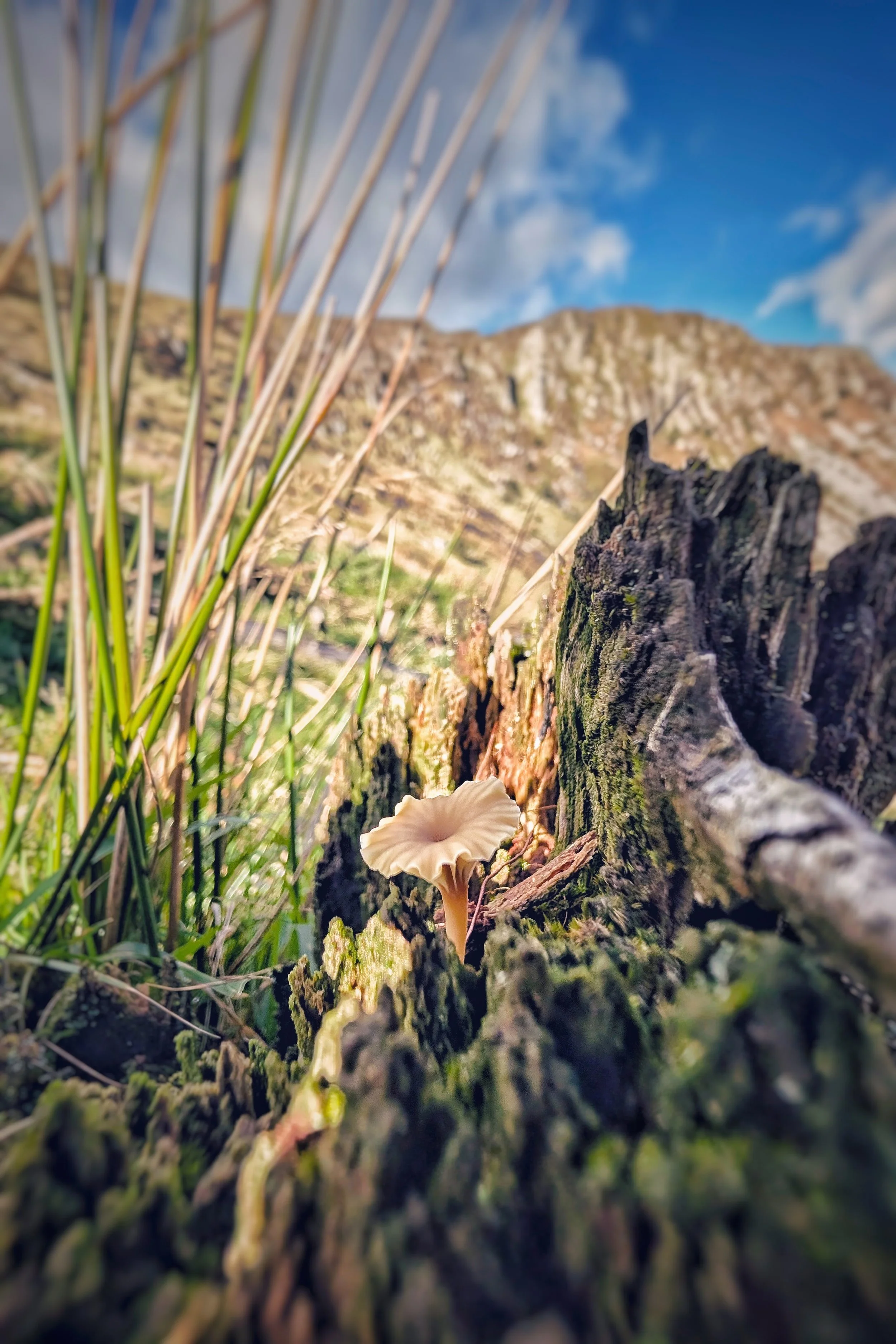 PXL_20251022_125008764 (1).jpg