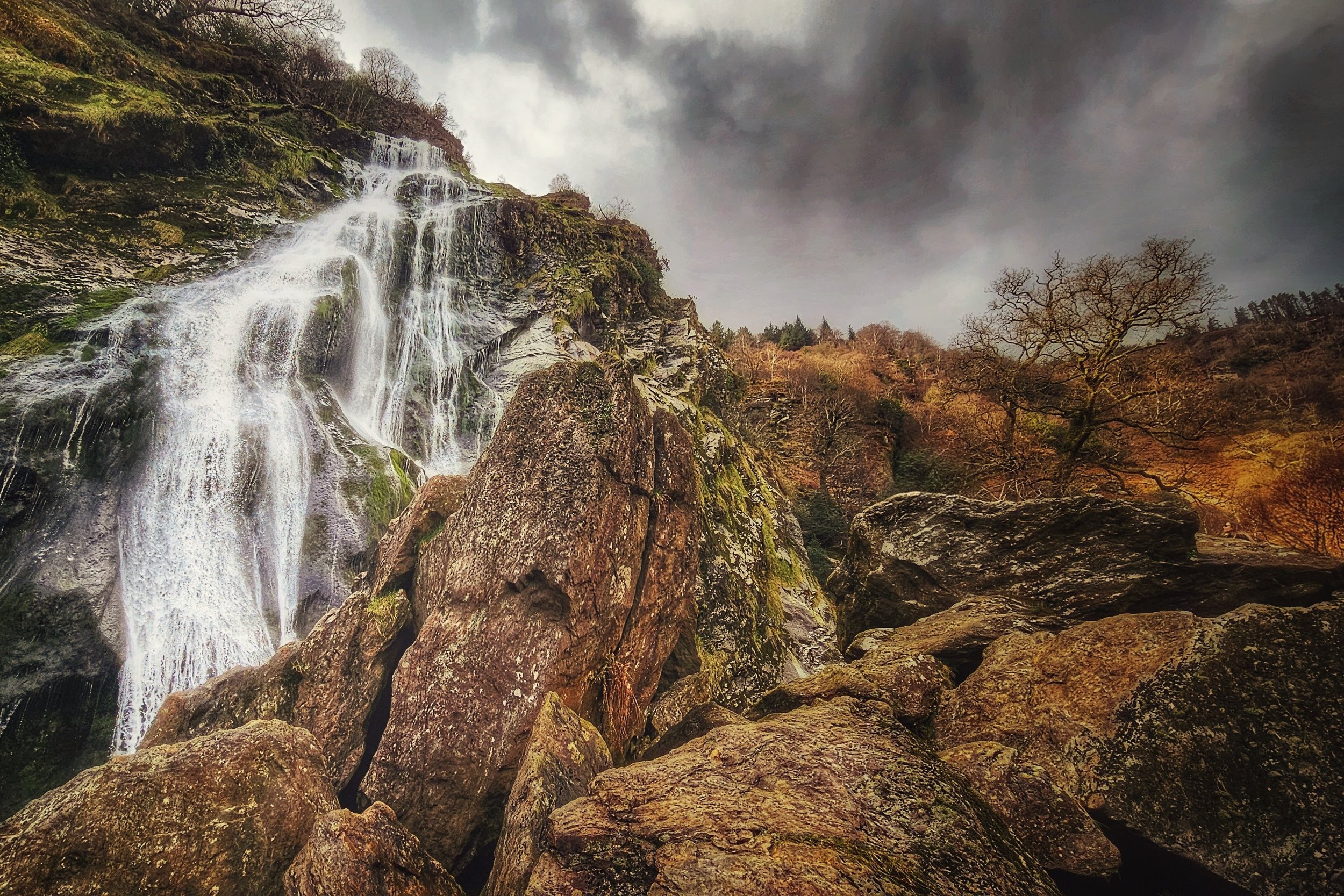 20250322_130643 (1)~3.jpg