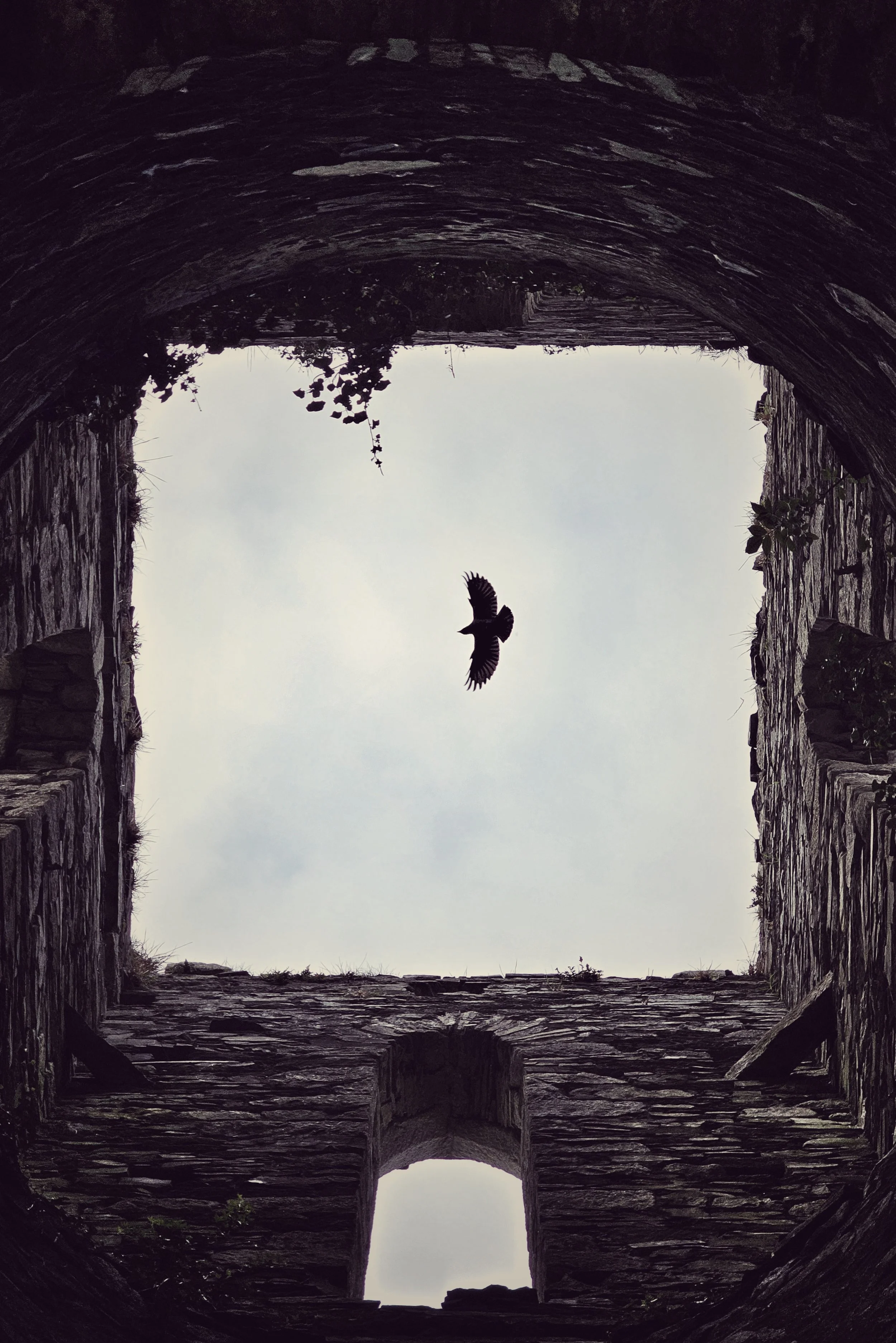 20250414_180323 (1).jpg