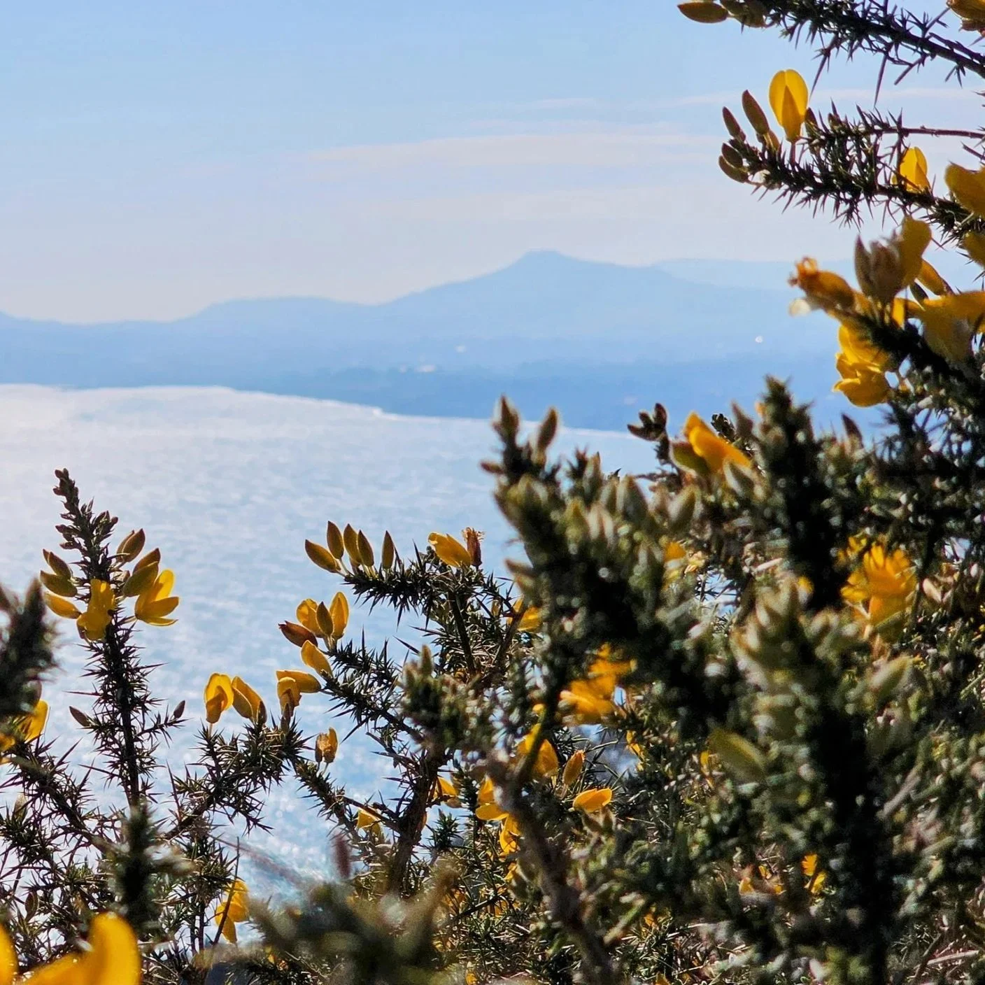 Killiney Hill Park, County Dublin
