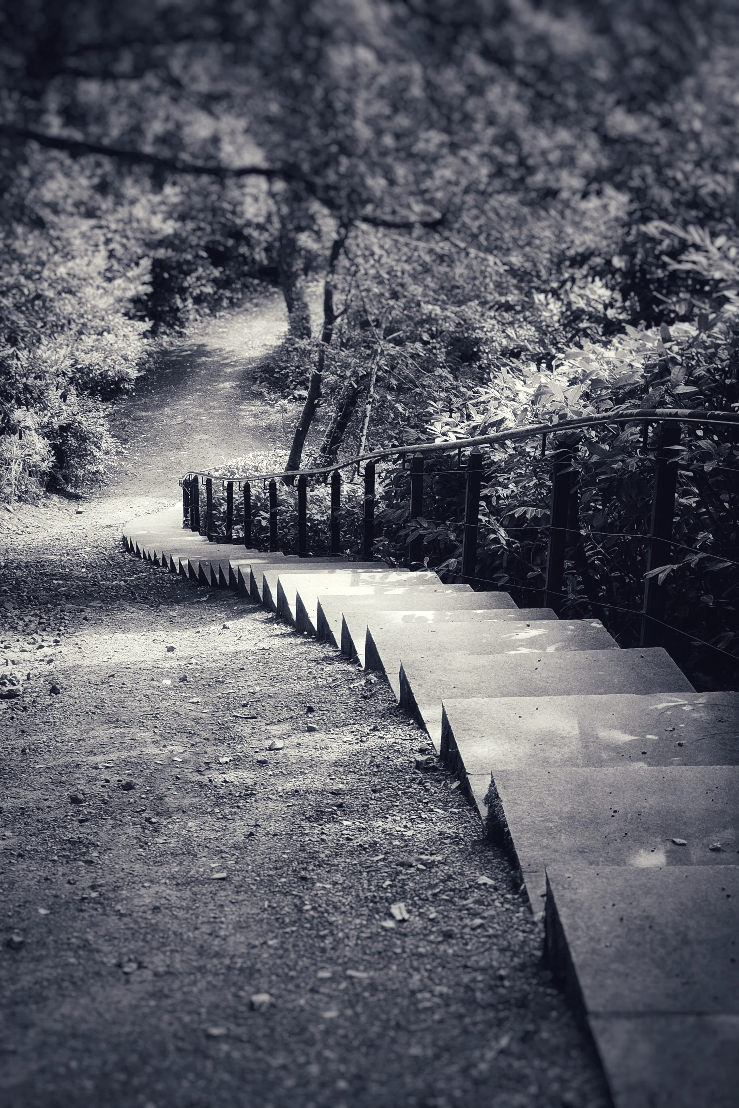 20250824_121441 (1).jpg