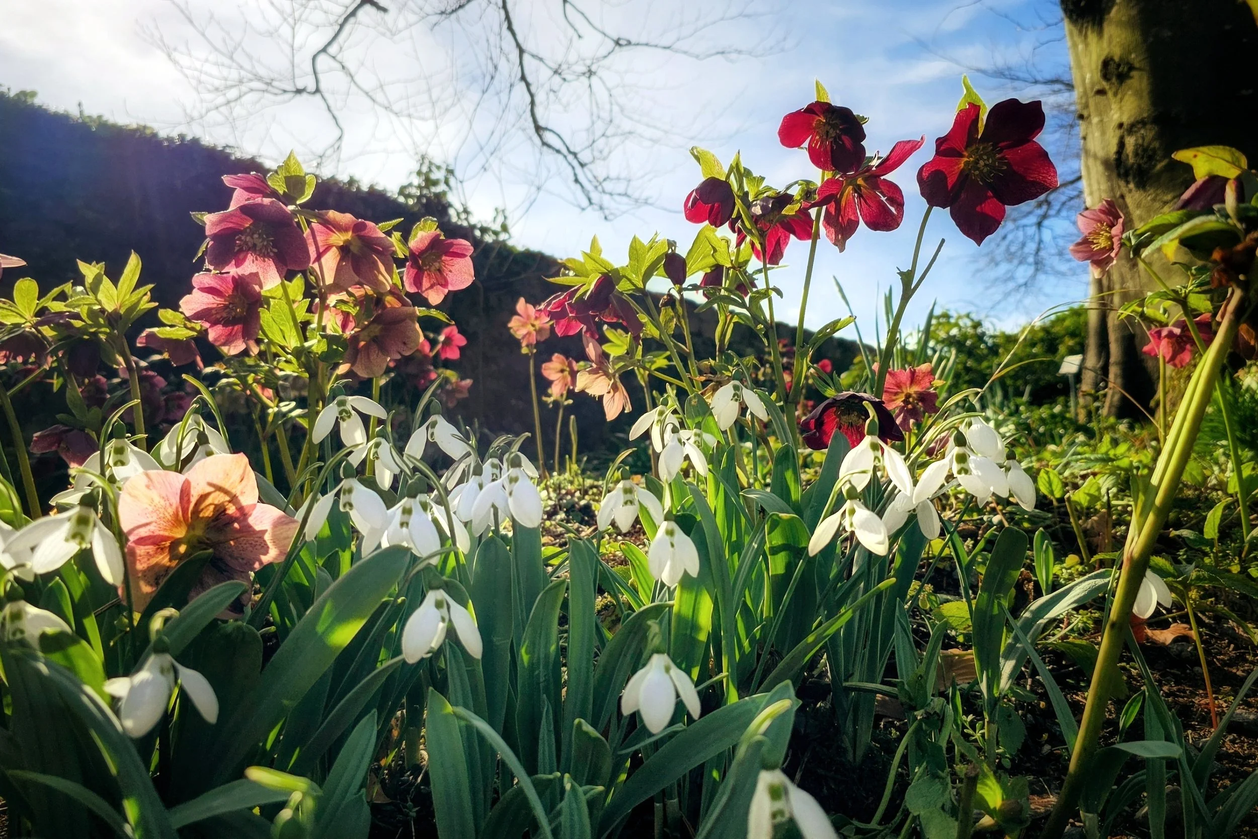 20250304_115327~2 (1).jpg