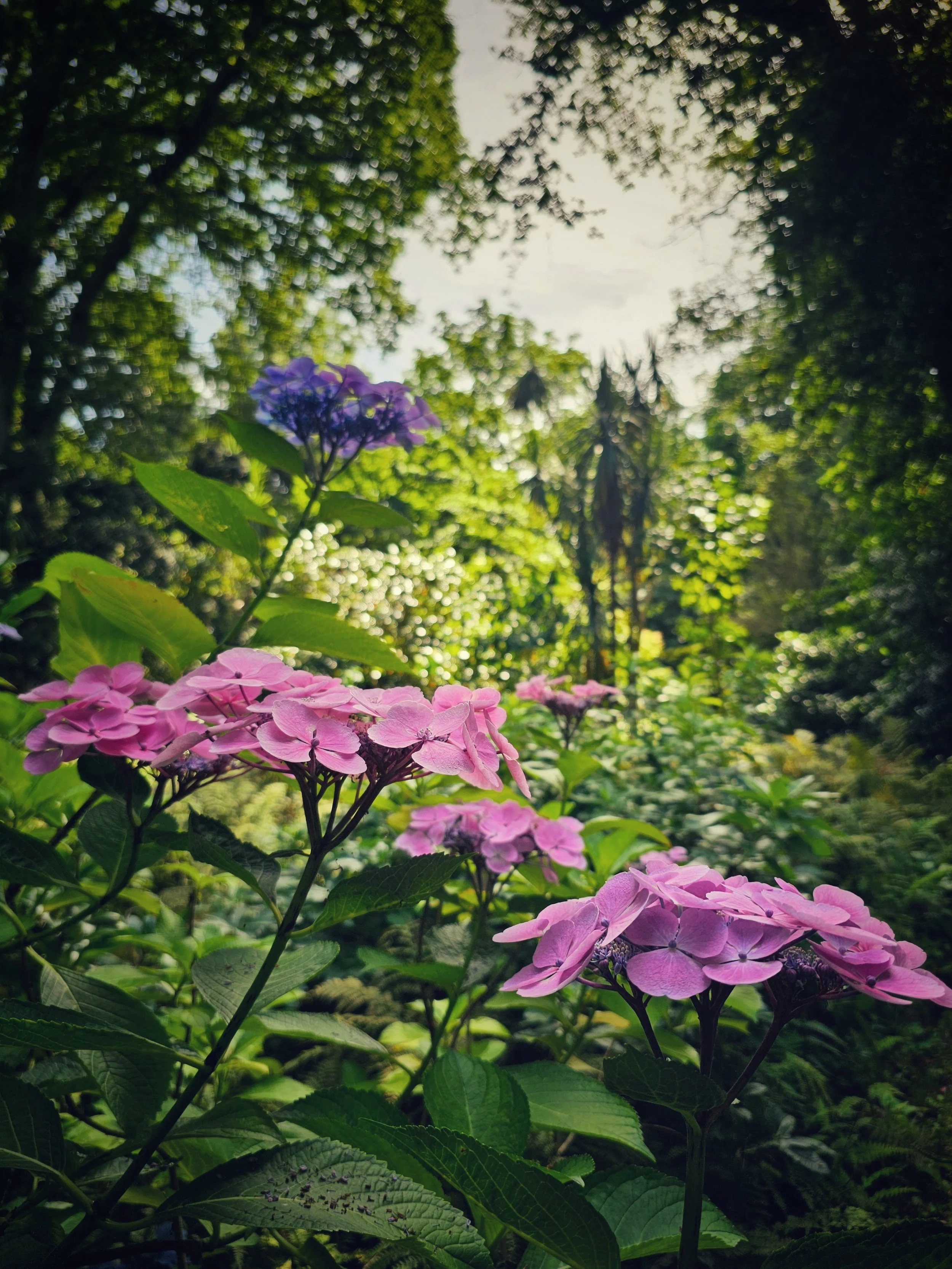 20250811_113959~2 (2).jpg