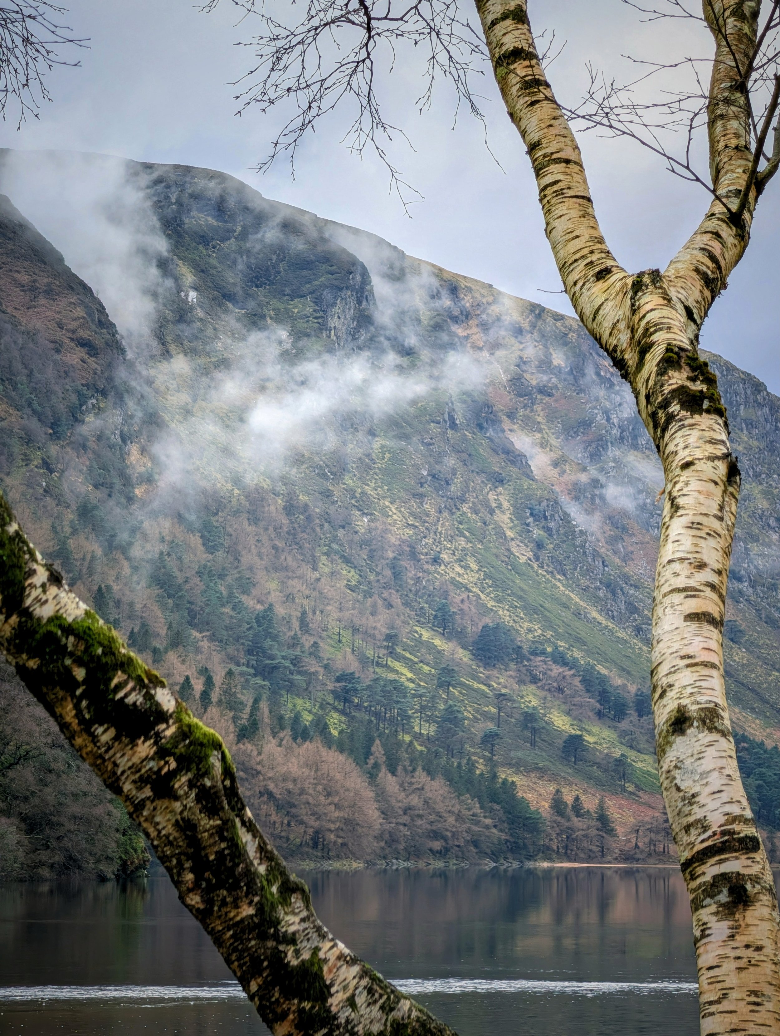 Mist Over The Upper Lake