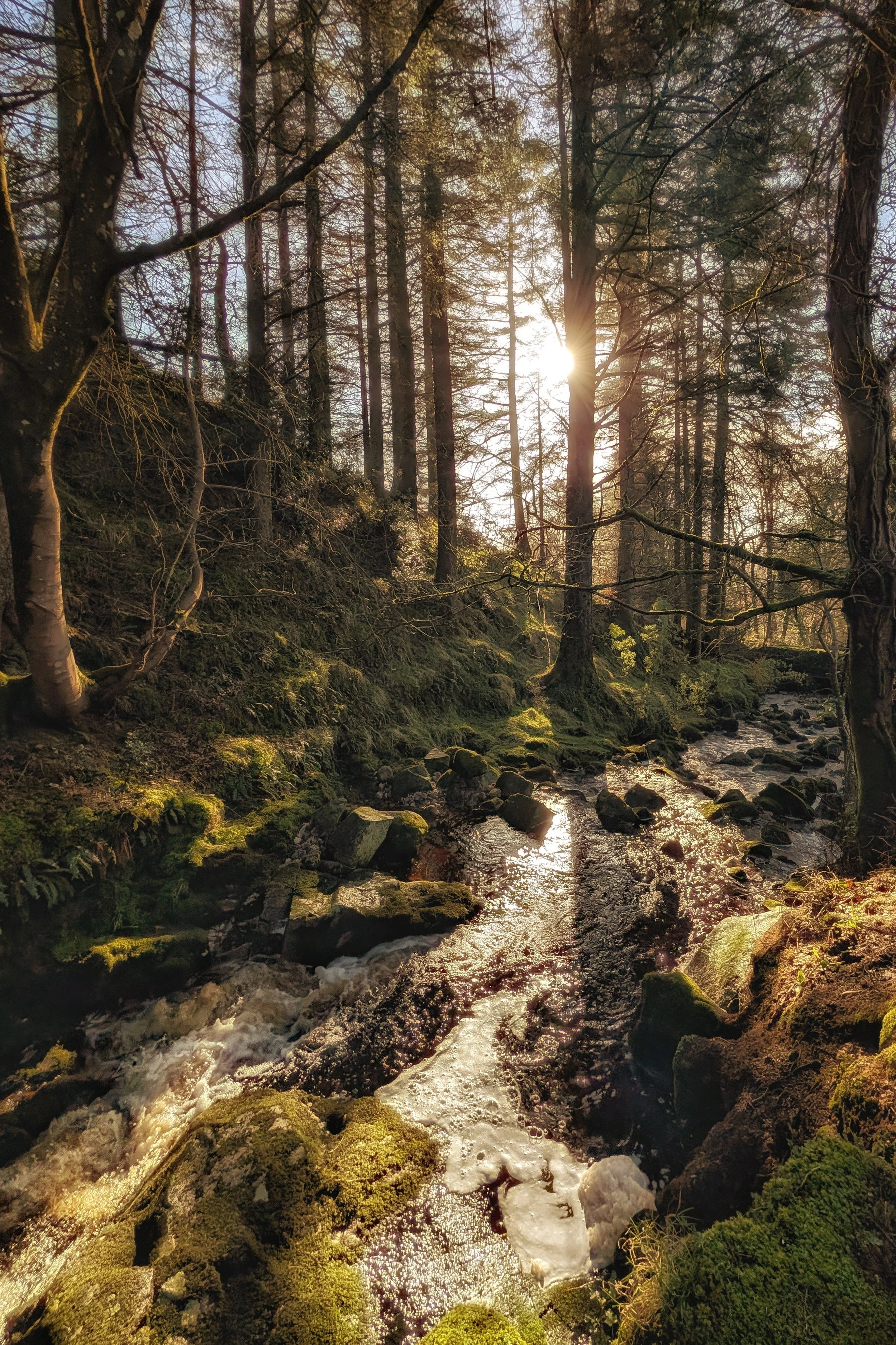 Gold in the Glencree Valley