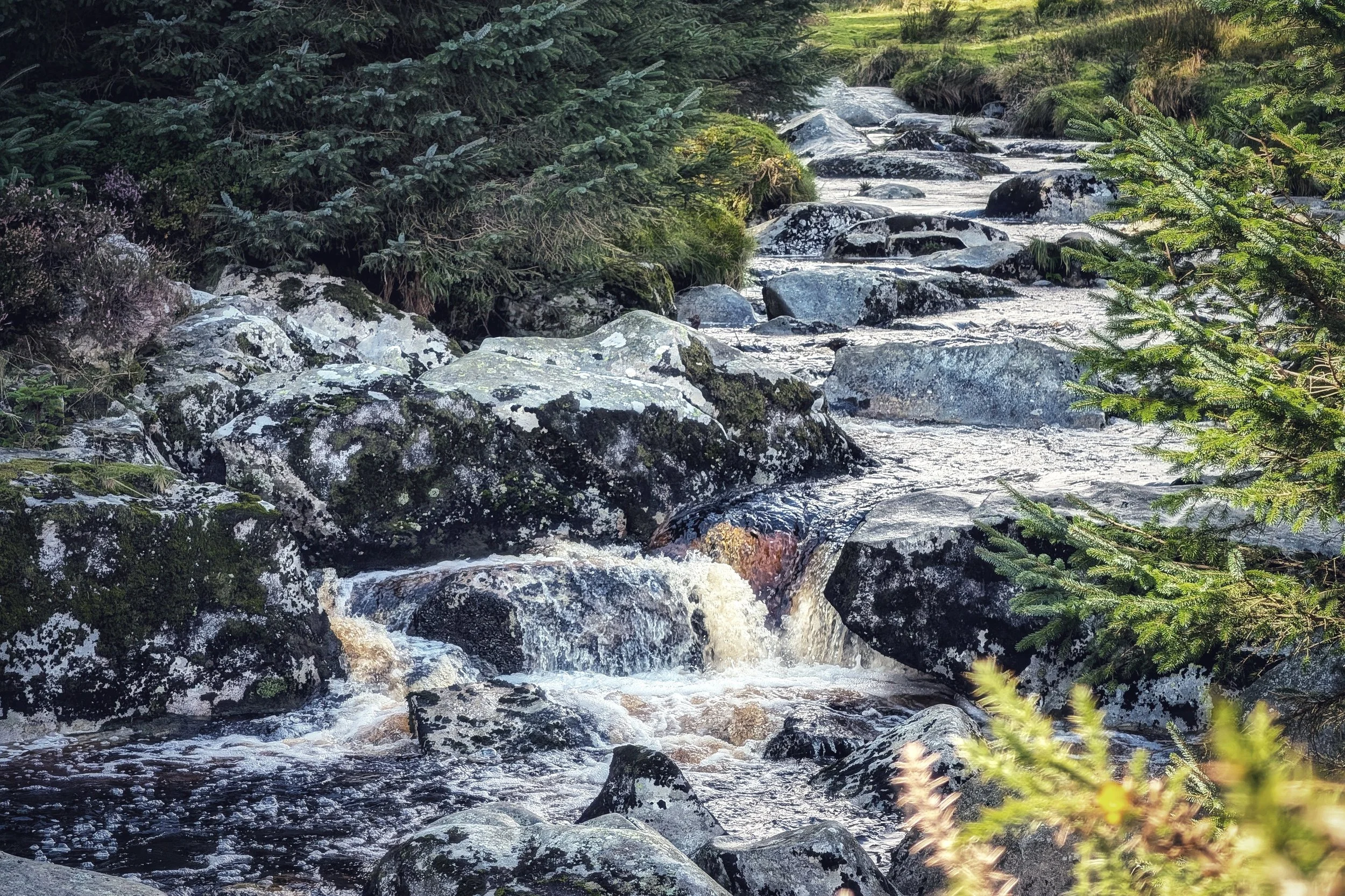 PXL_20250904_133619028.MP (1).jpg