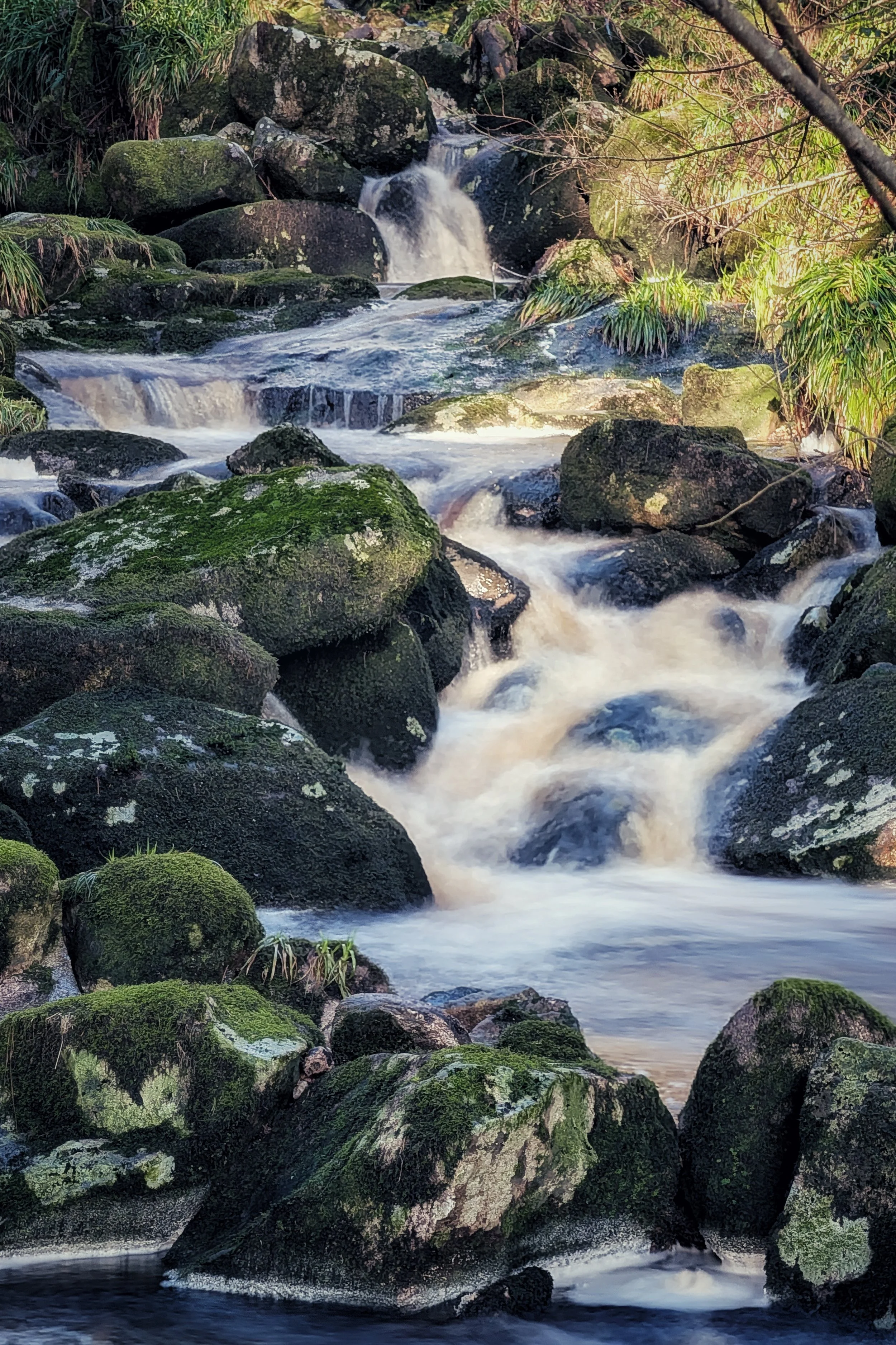 Mossy Stones and Flowing Streams
