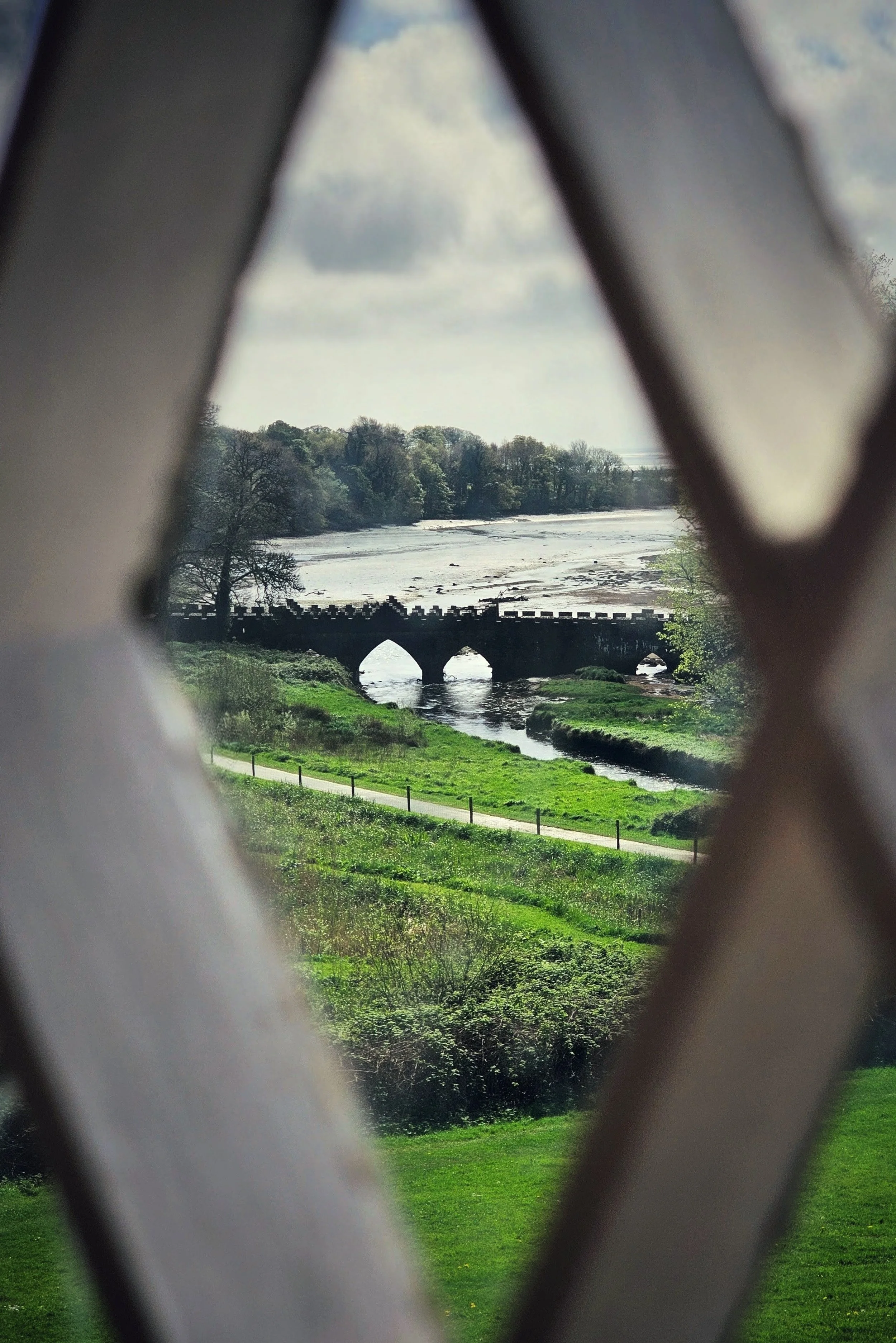 20250426_123702~3 (1).jpg