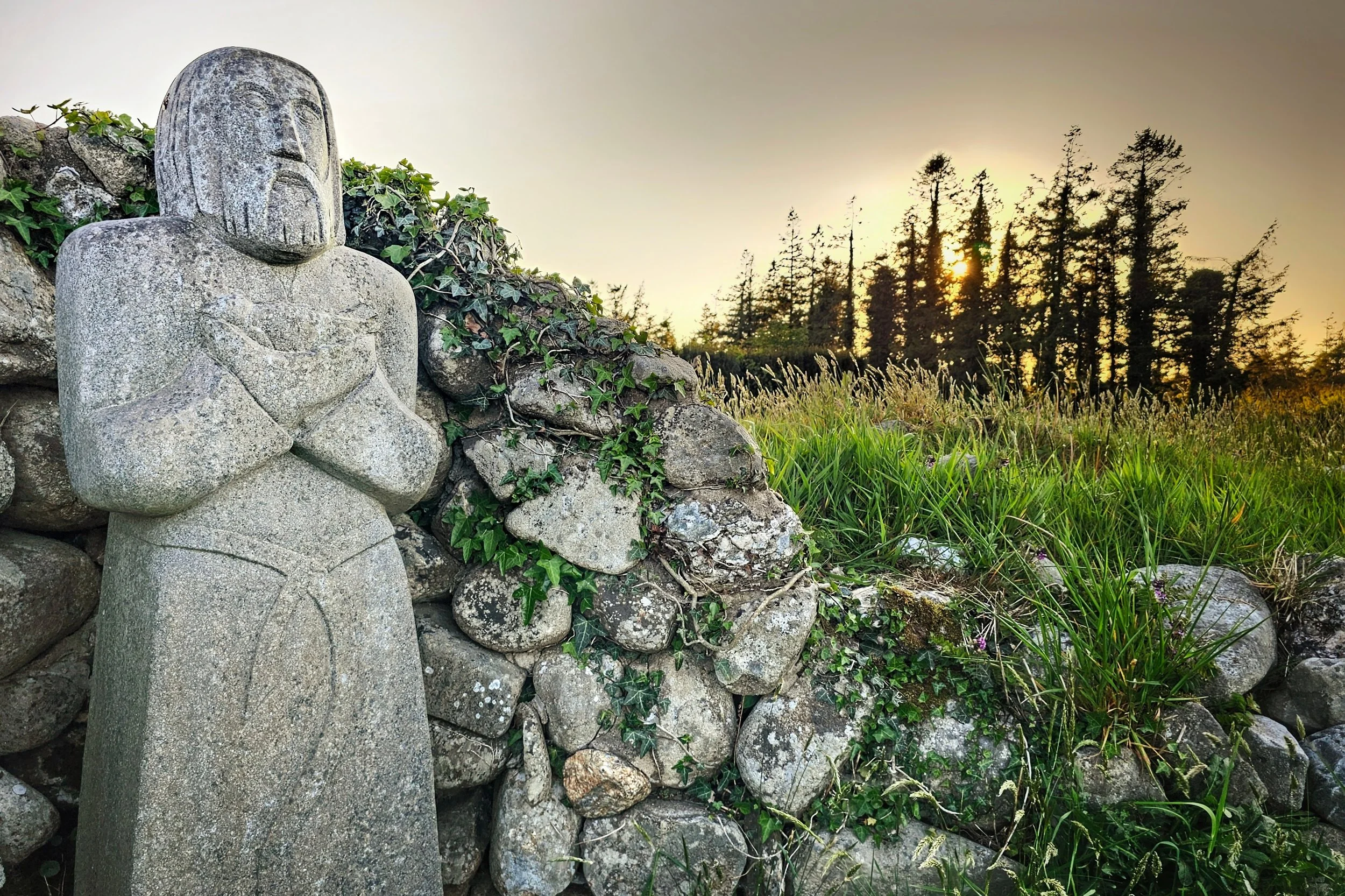 20250513_200326 (1).jpg