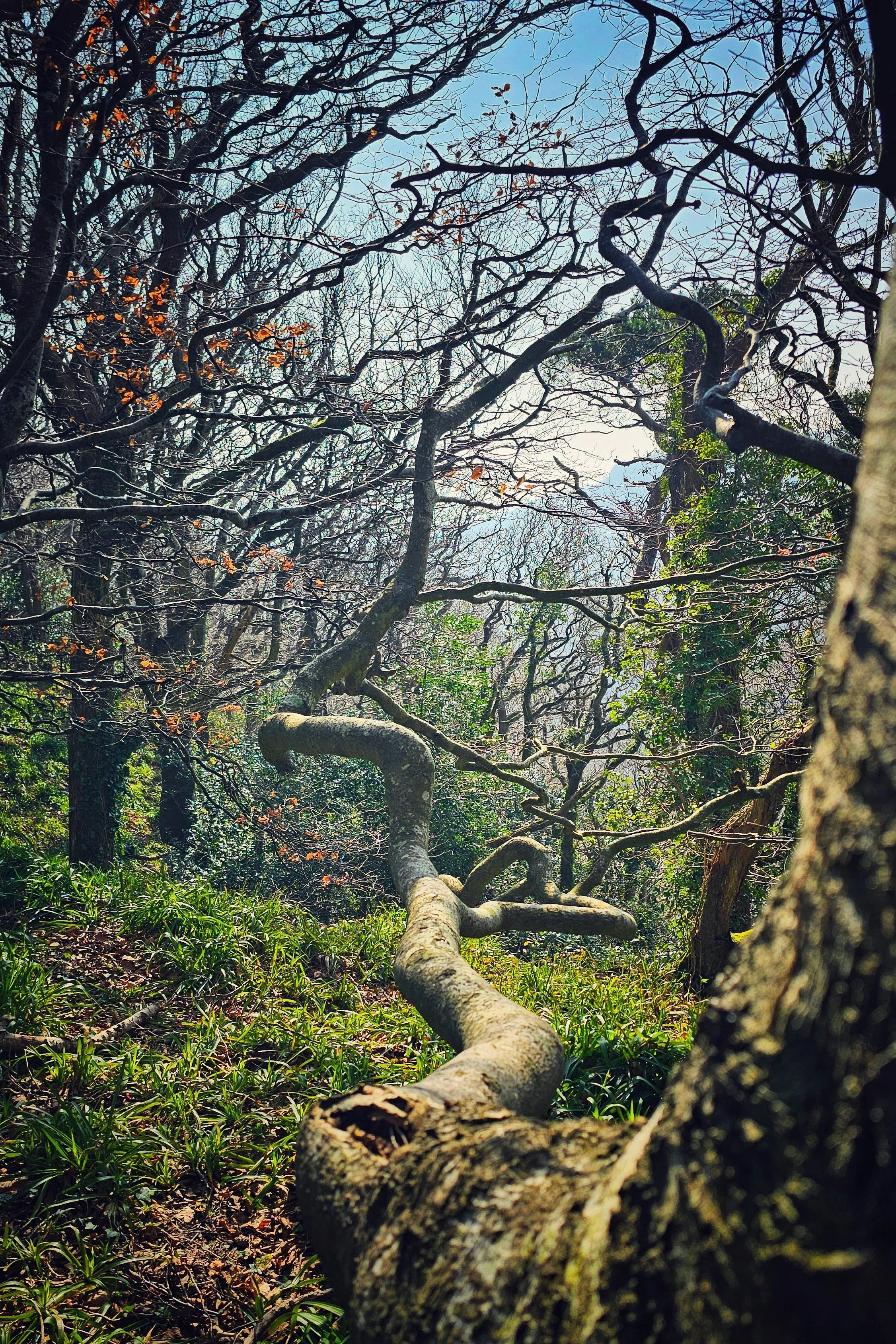 1 Year Ago: Branch Beauty