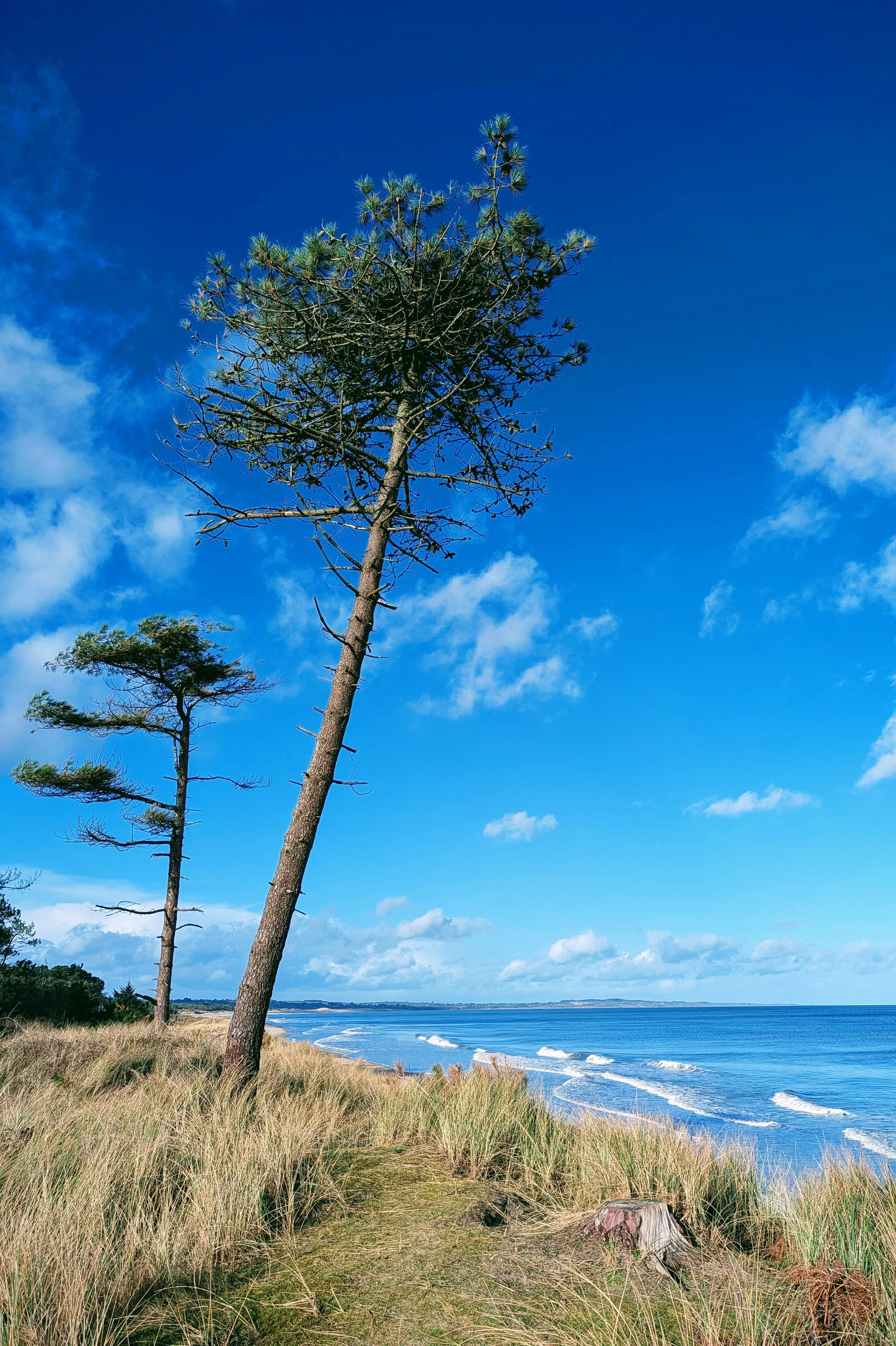 Leaning Into the Wind
