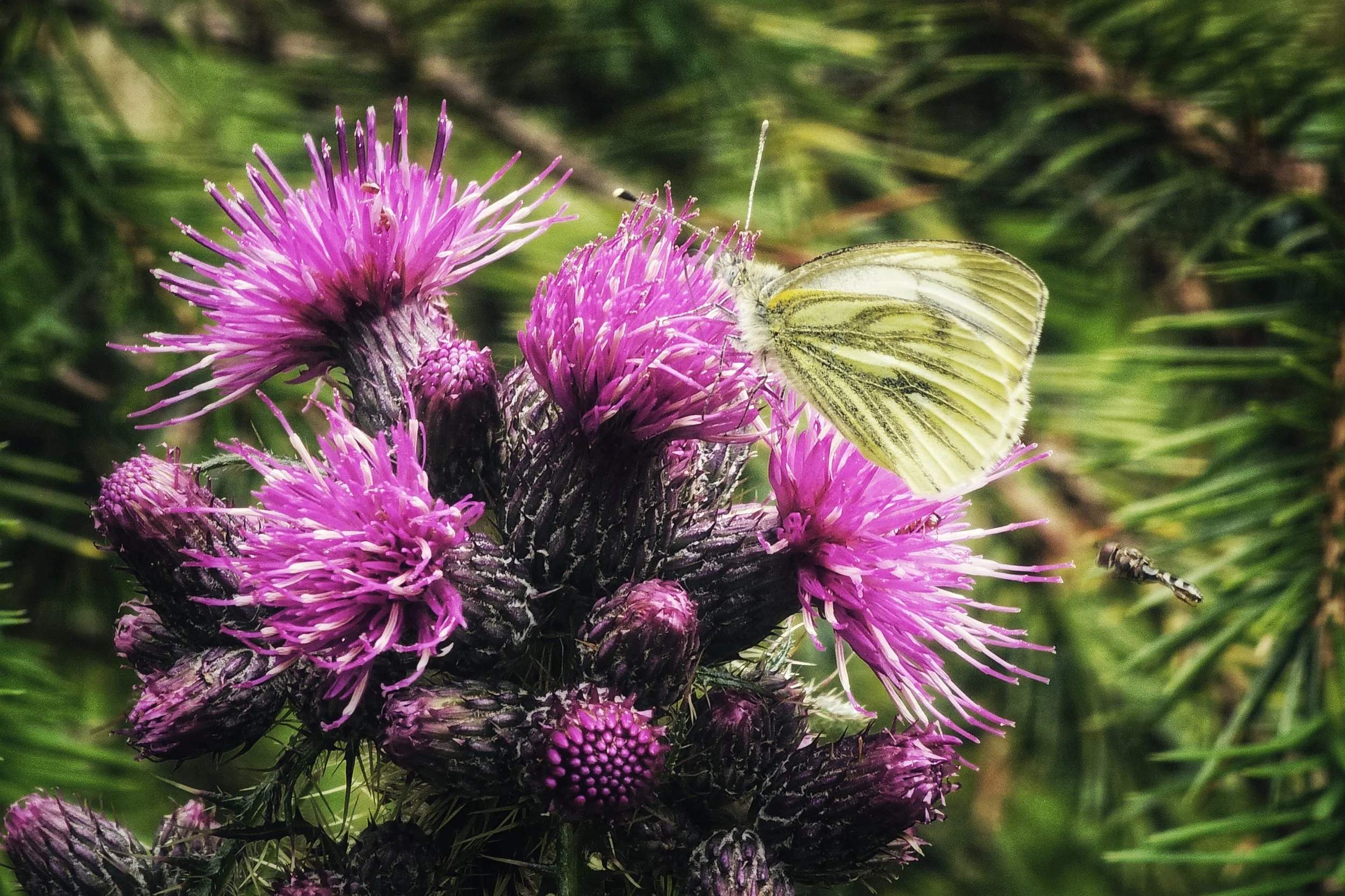 20250529_134256_008 (1).jpg