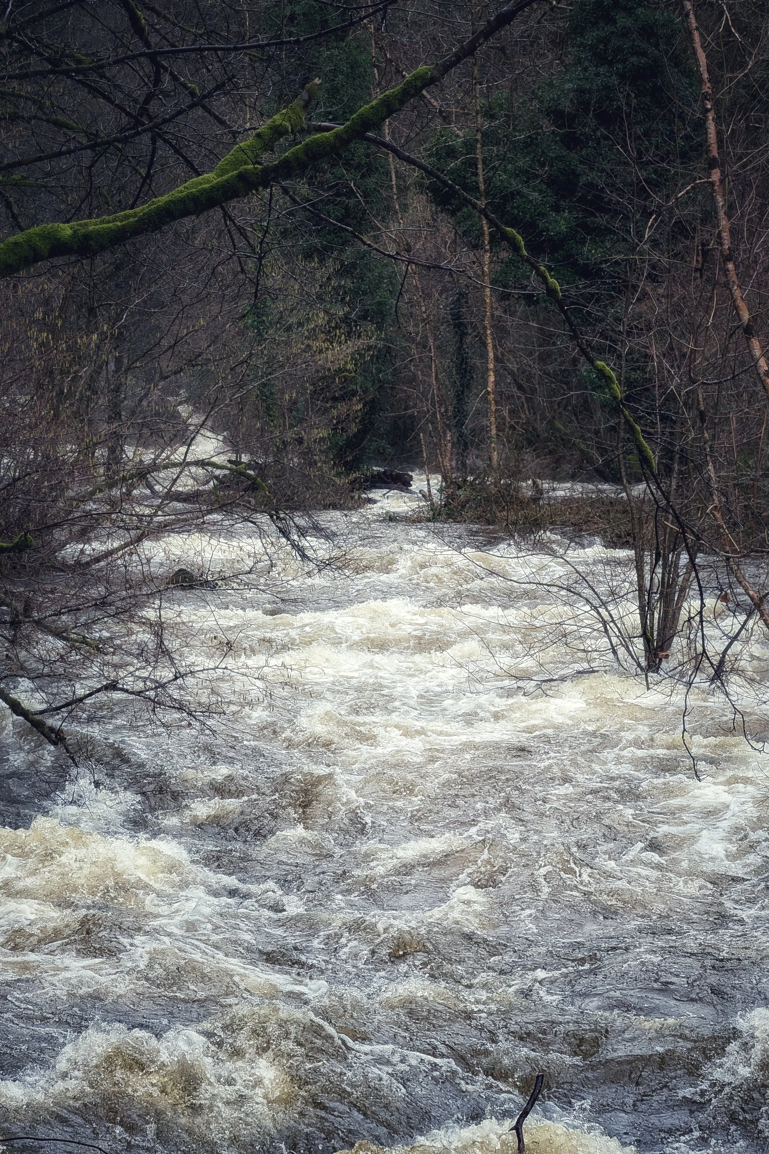 The Fury of the Vartry