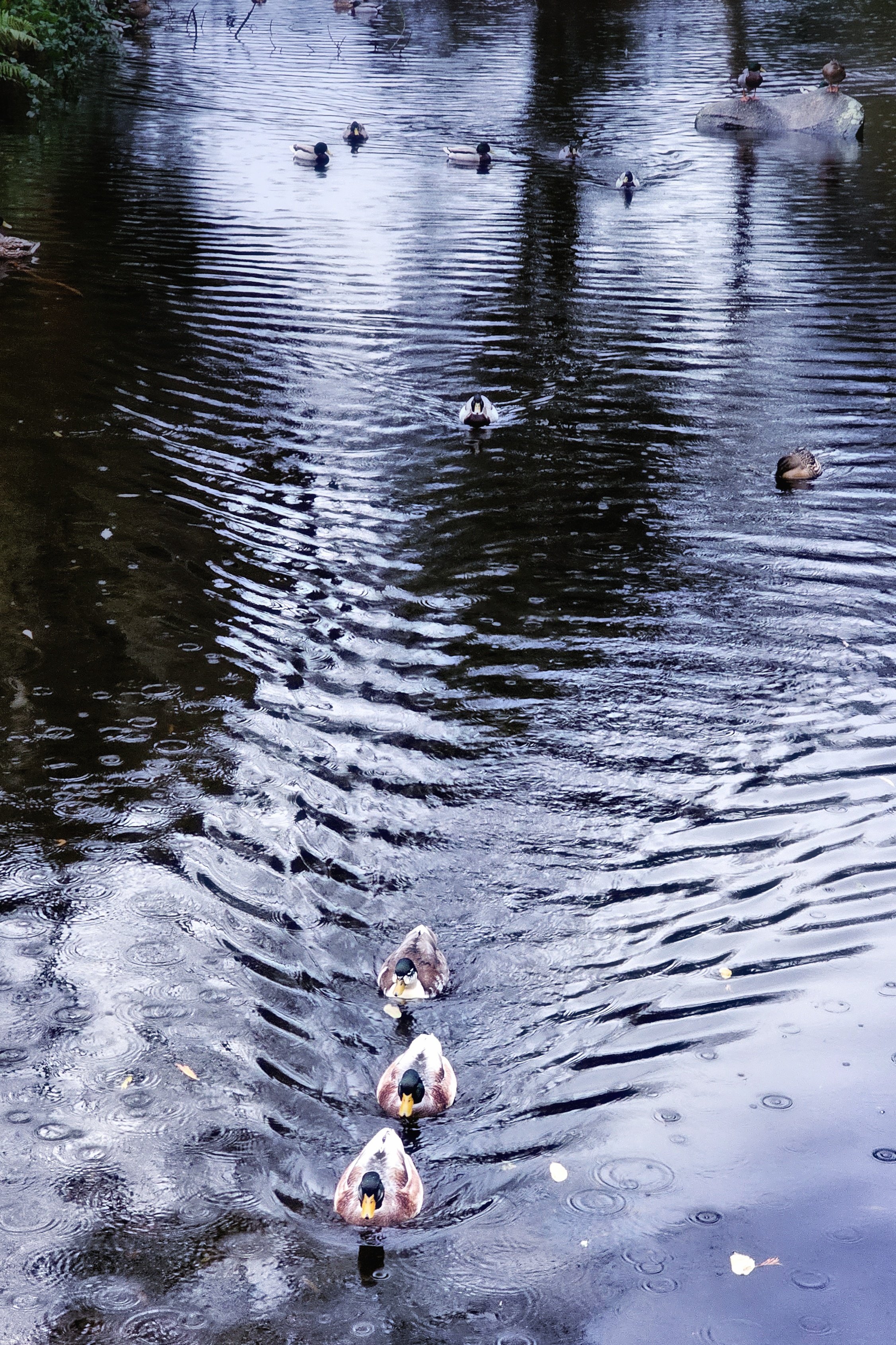 20241217_140811(0) (1).jpg