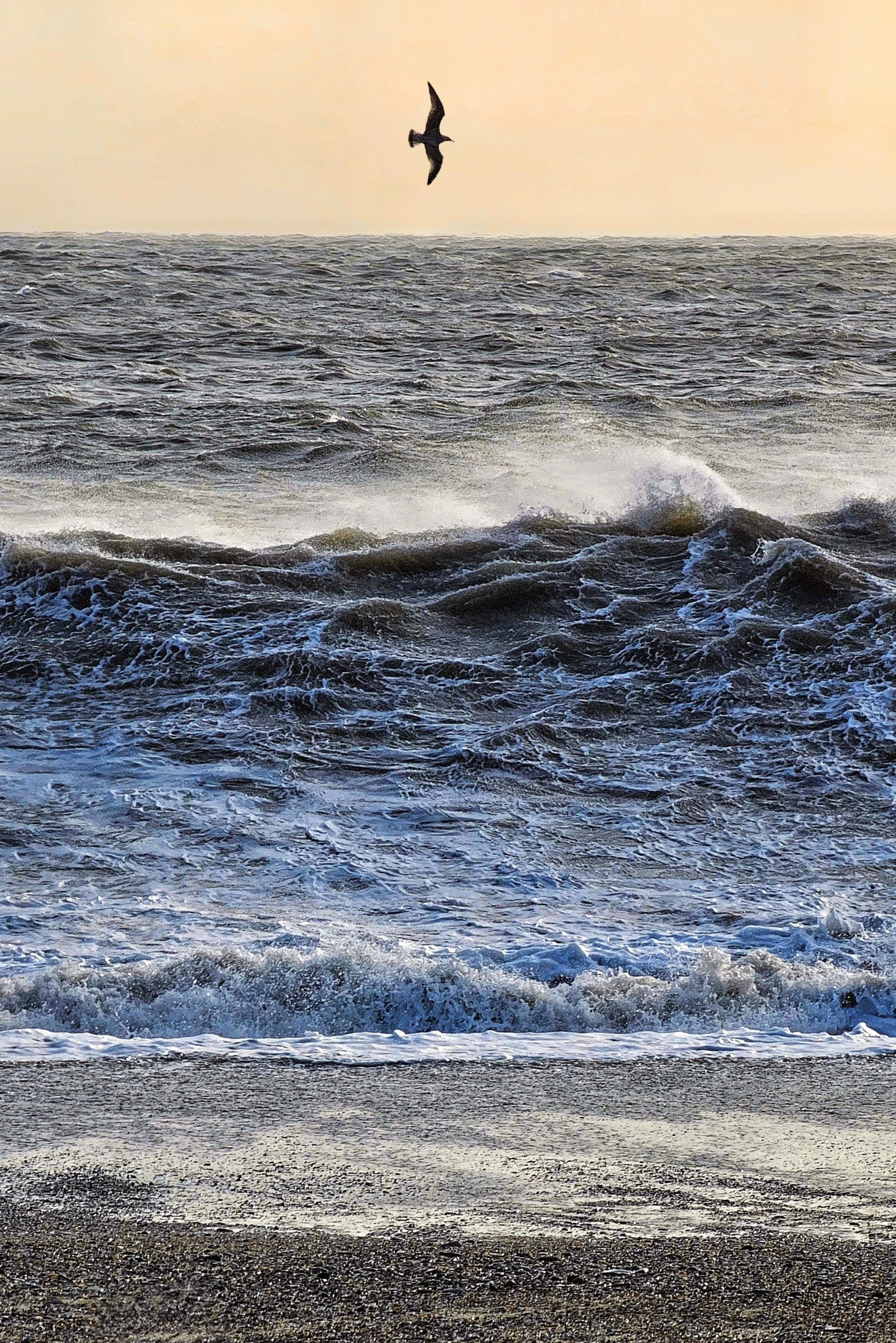 20250124_110409~2 (1)~4.jpg