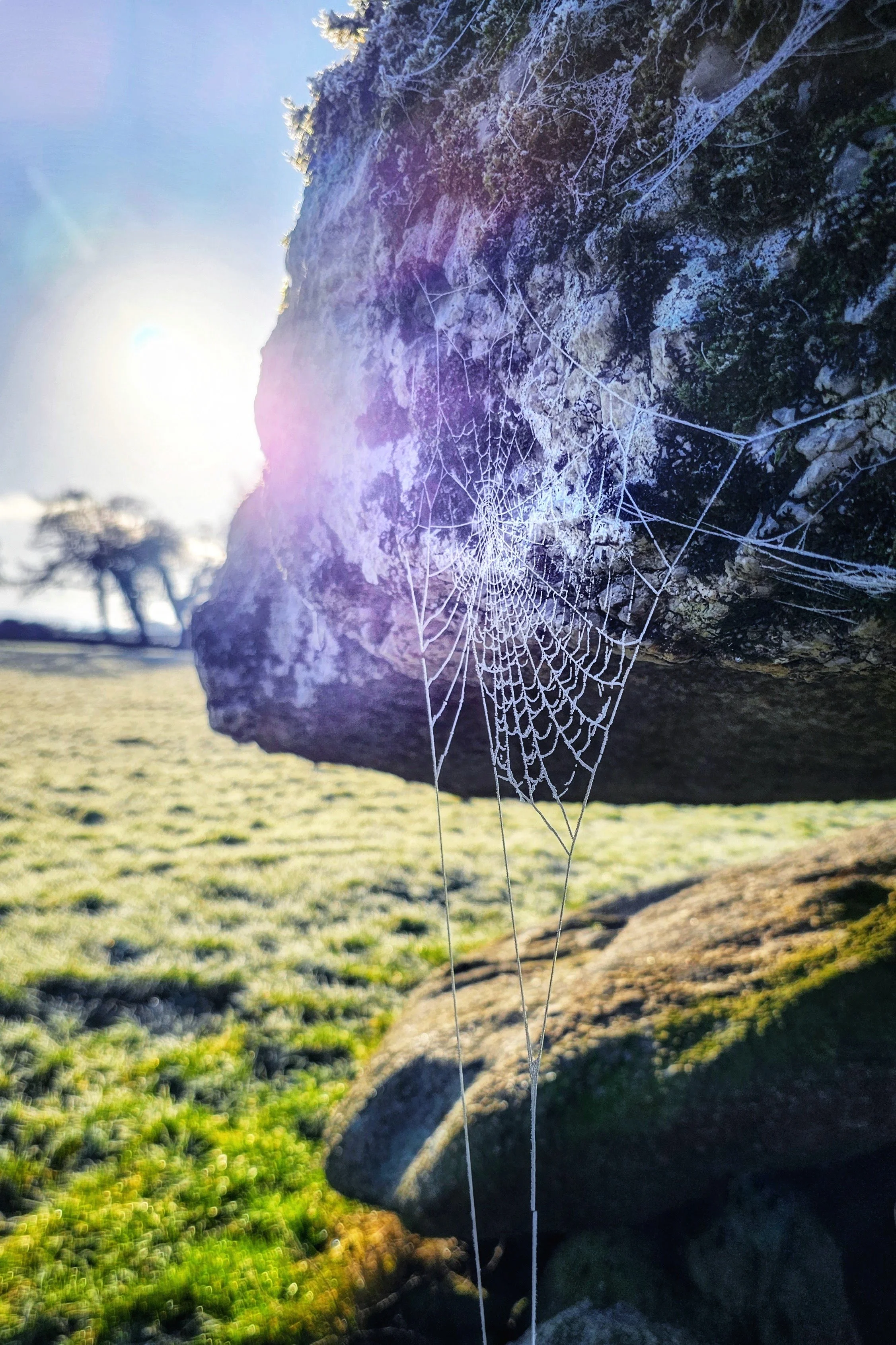 A Spider’s Neolithic Home — Pocket Ireland