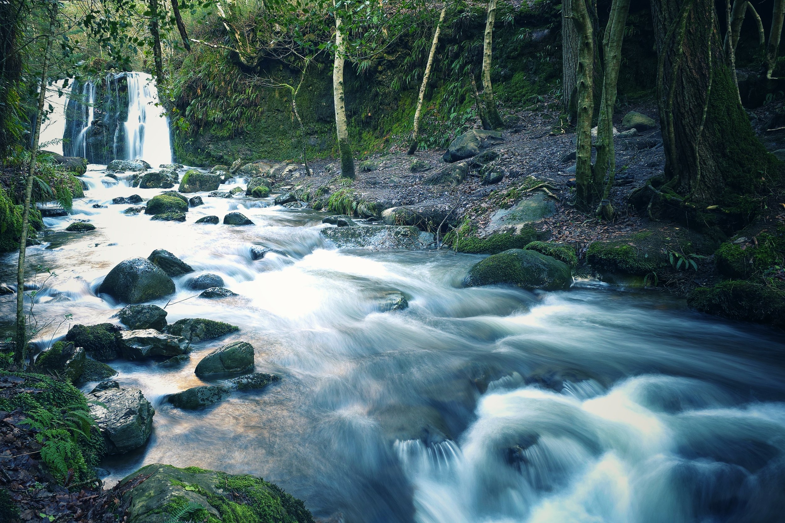 20250204_162746 (1).jpg