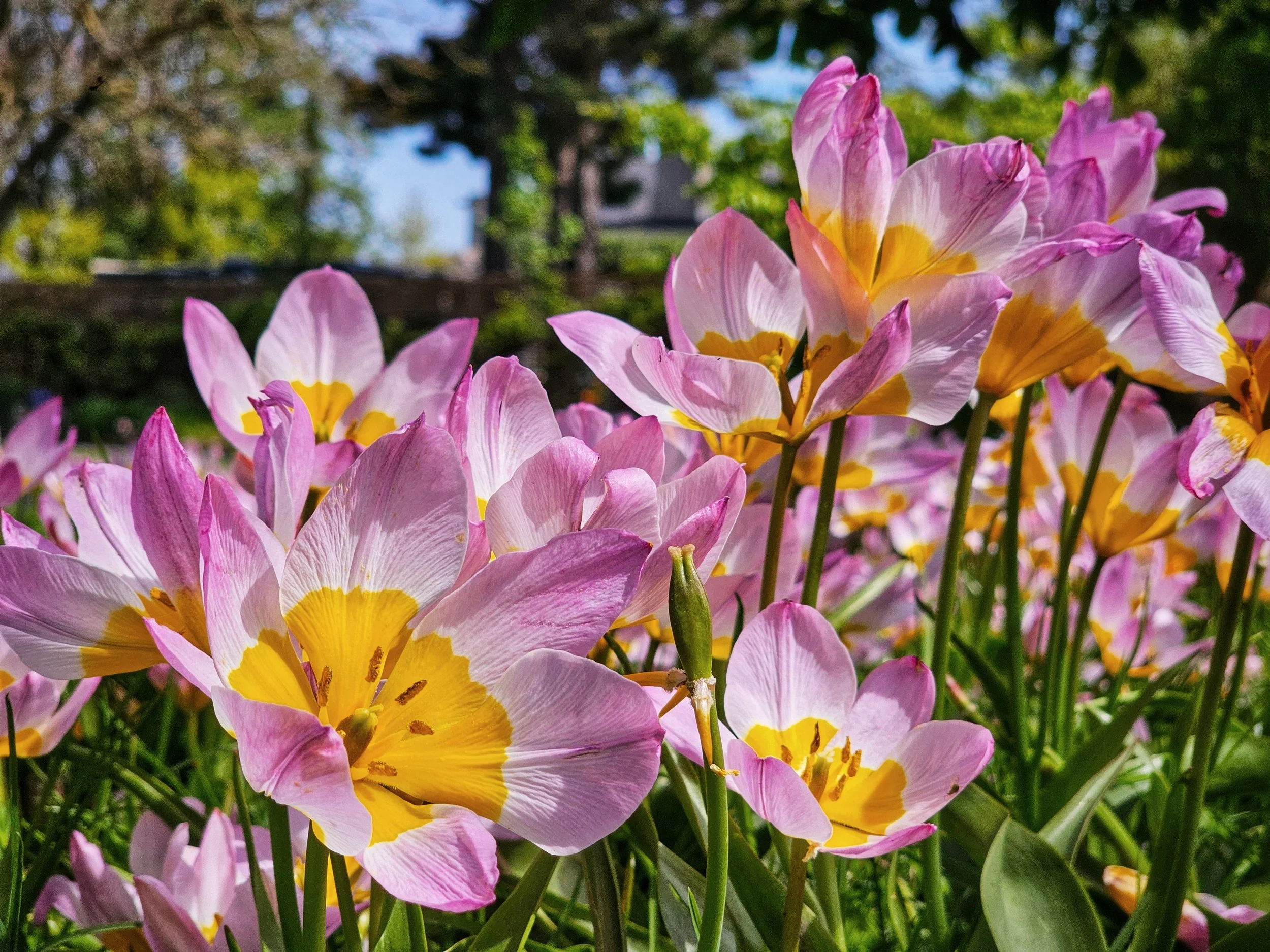 20250430_135613 (1).jpg