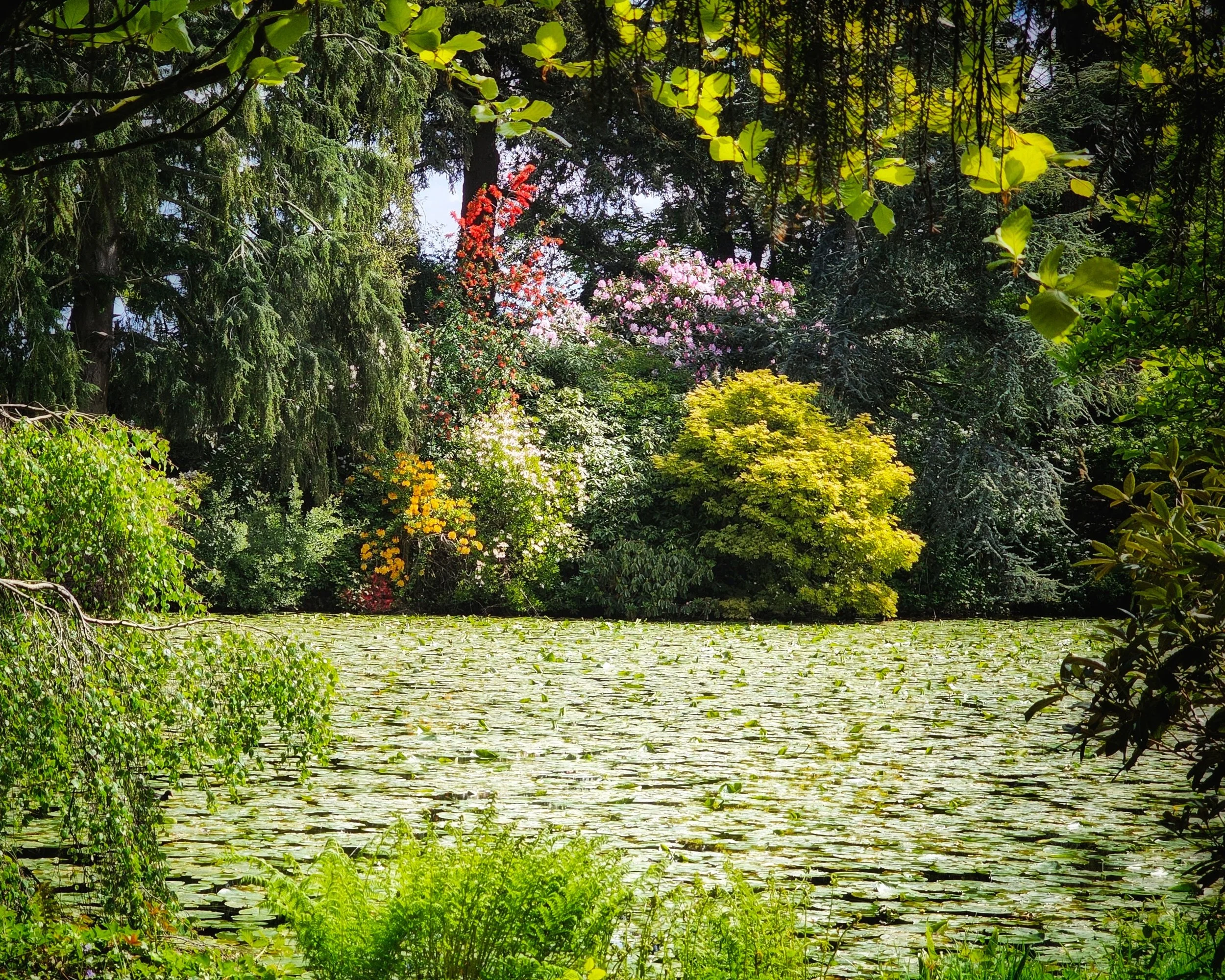 20250507_124220 (1).jpg