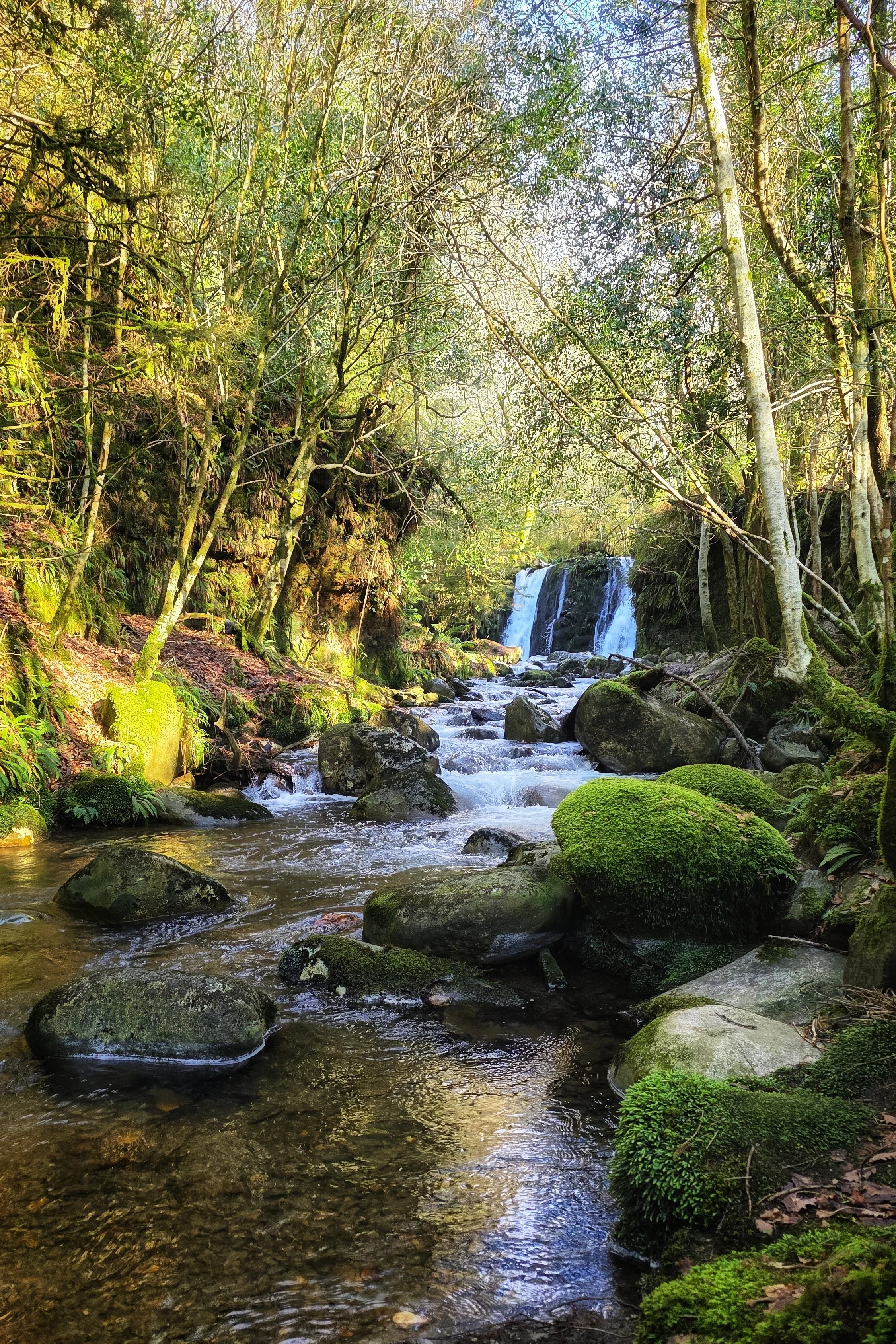 1 Year Ago: Nature’s Nook