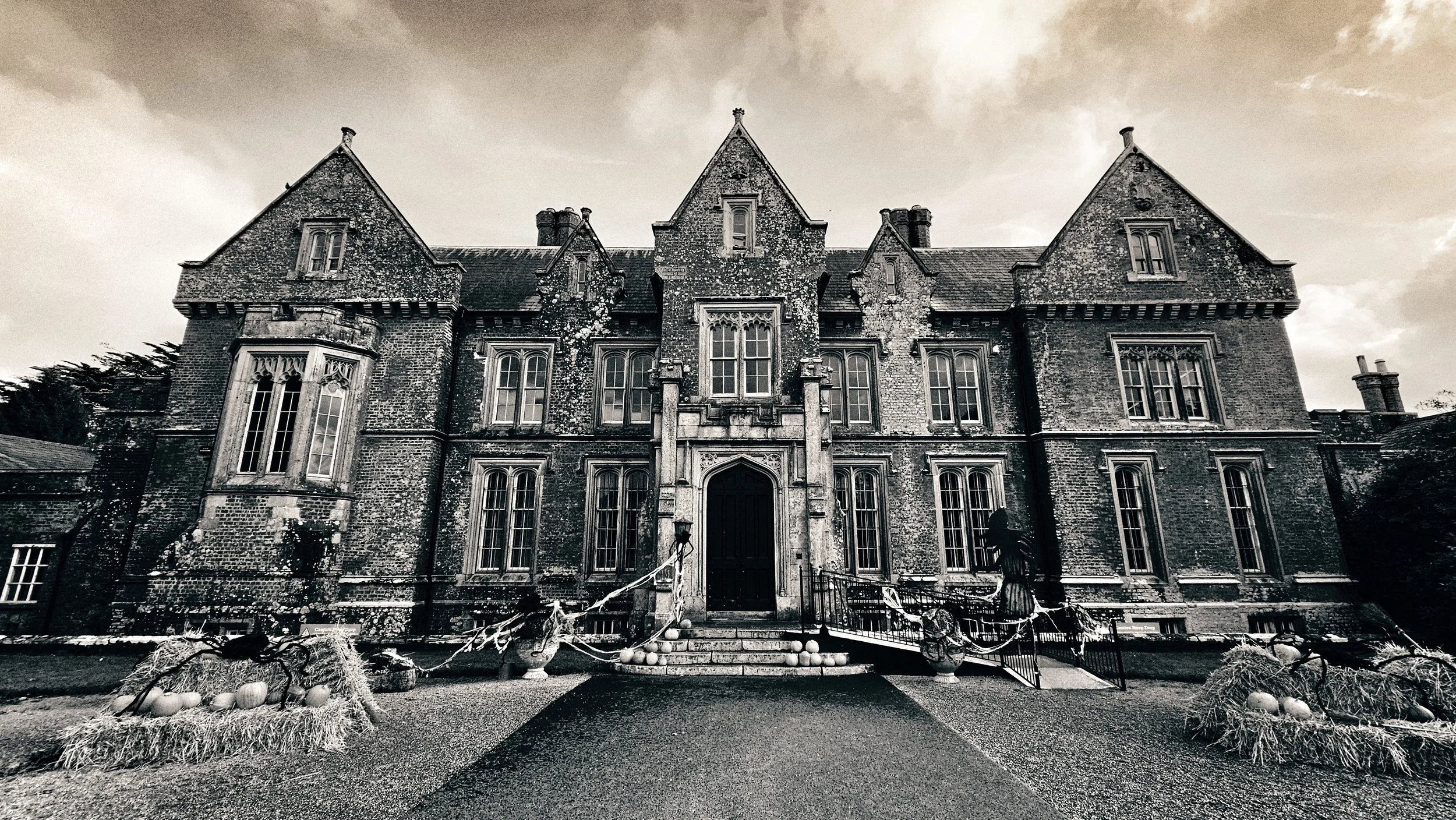 20241023_134015 (1).jpg