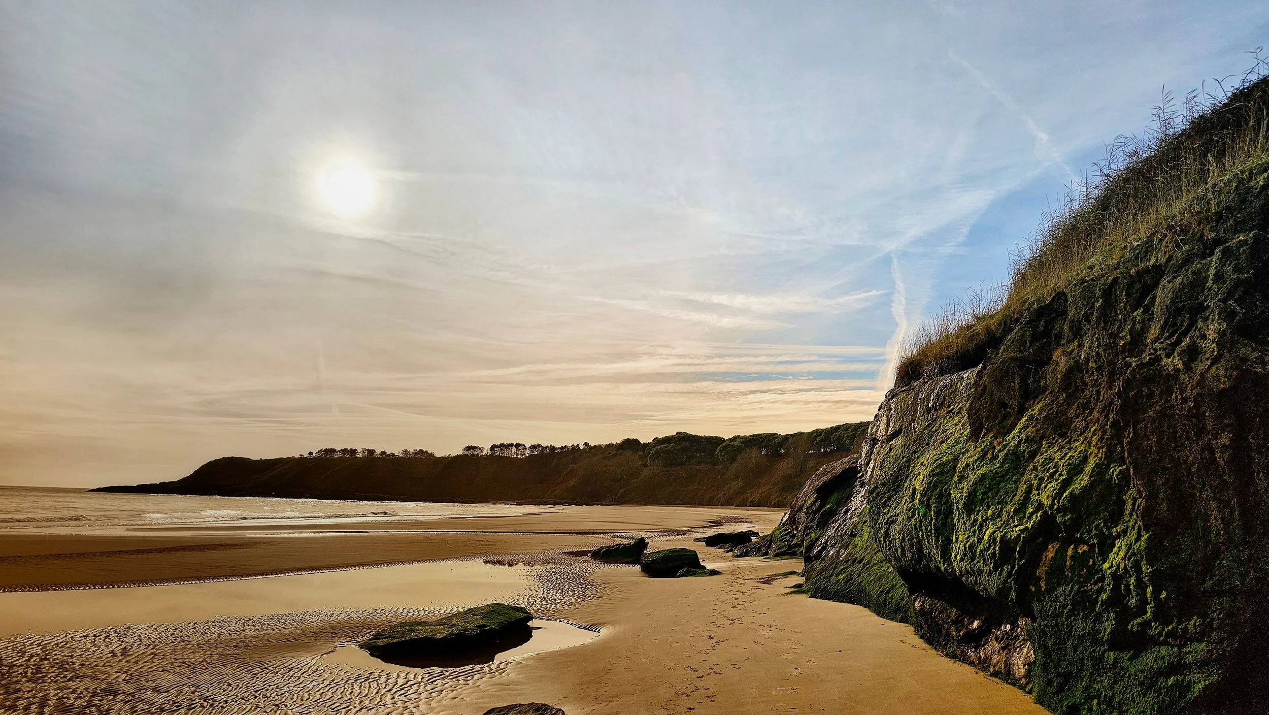 20241111_122213 (1) (1) (1).jpg