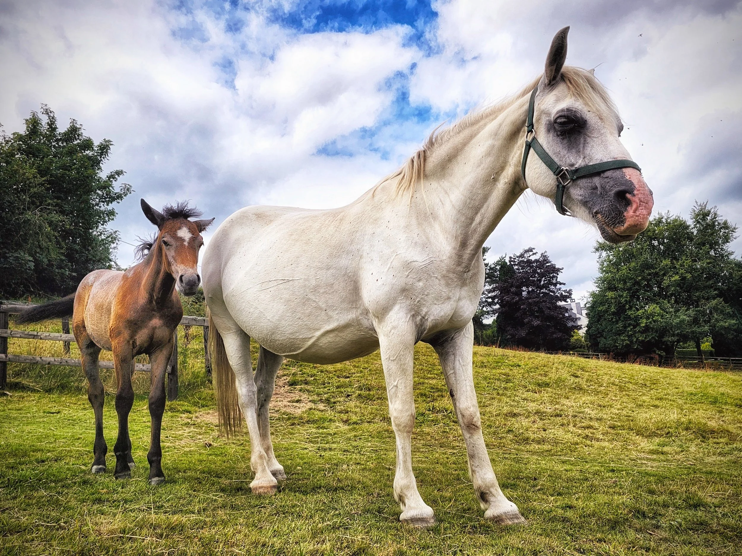 20250807_134413 (1).jpg